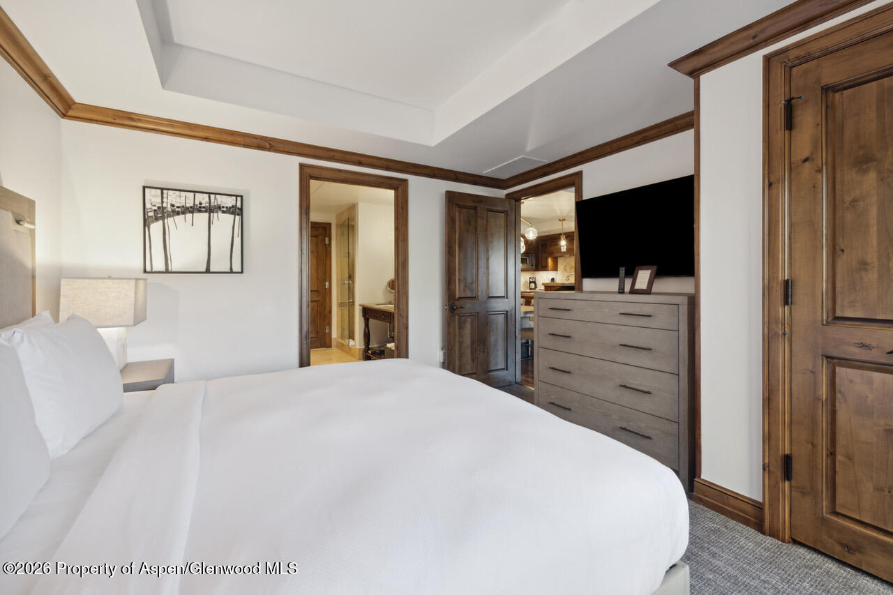 415 E Dean St., Unit 15, Weeks 51/52 Aspen CO 81611