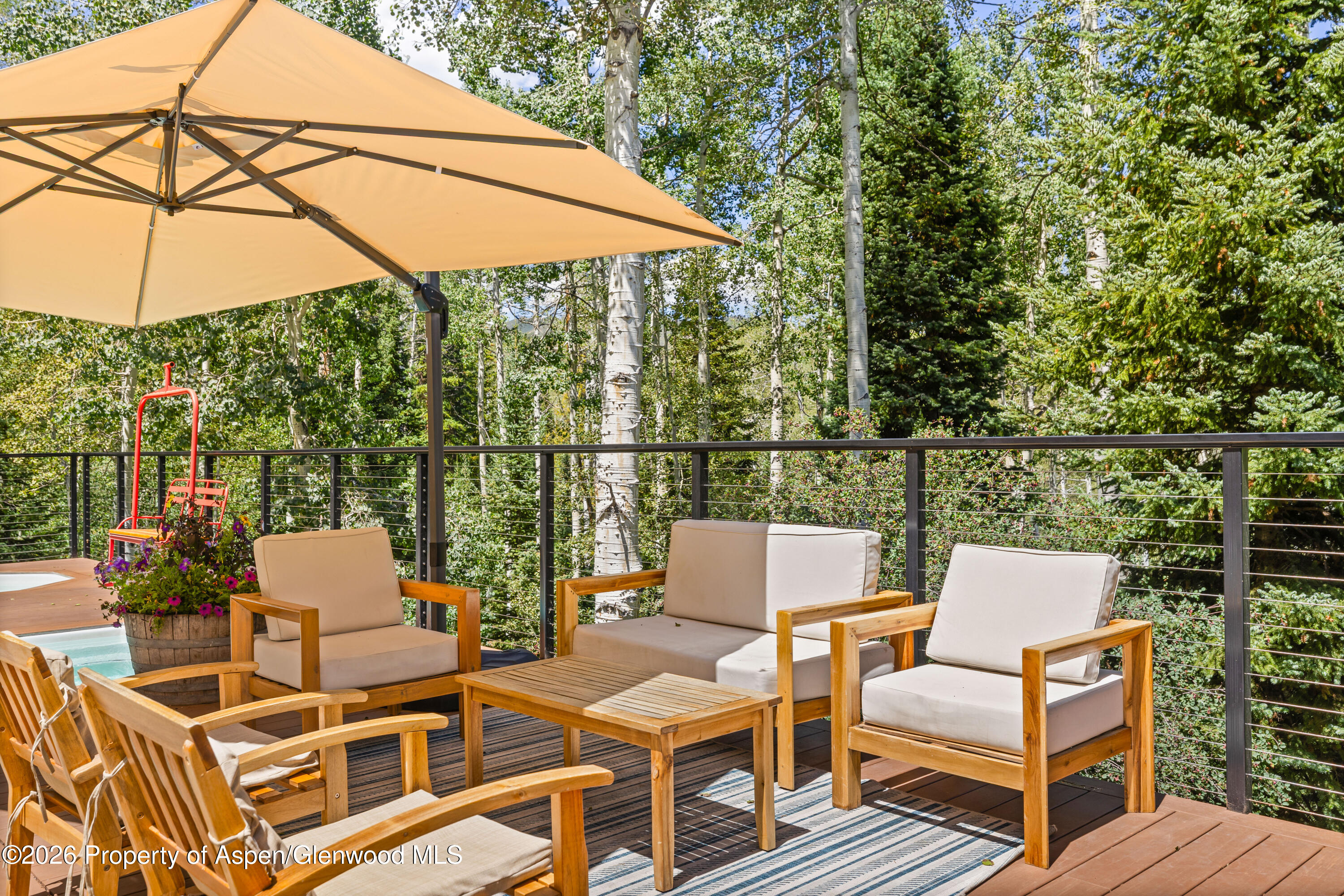 855 Carriage Way Snowmass Village CO 81615