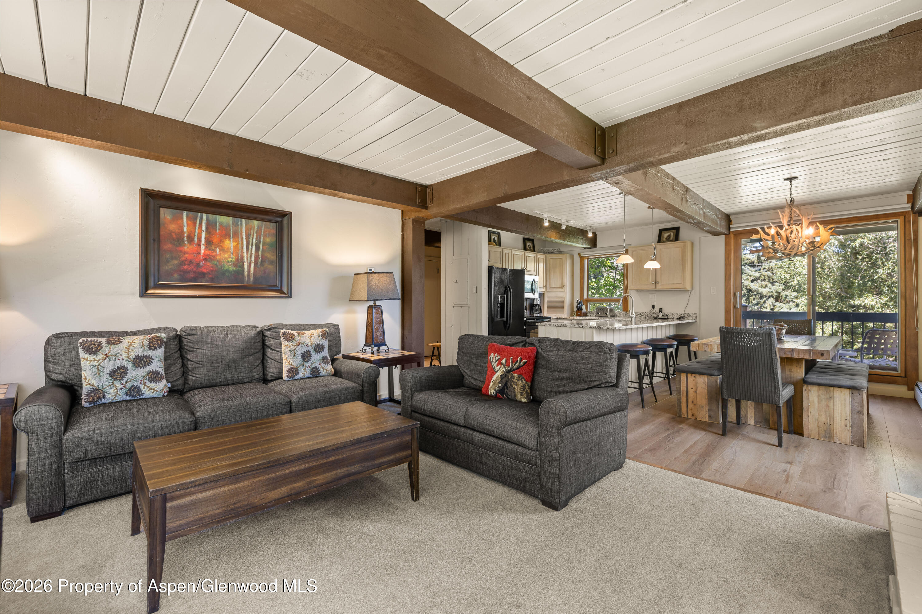 855 Carriage Way Snowmass Village CO 81615