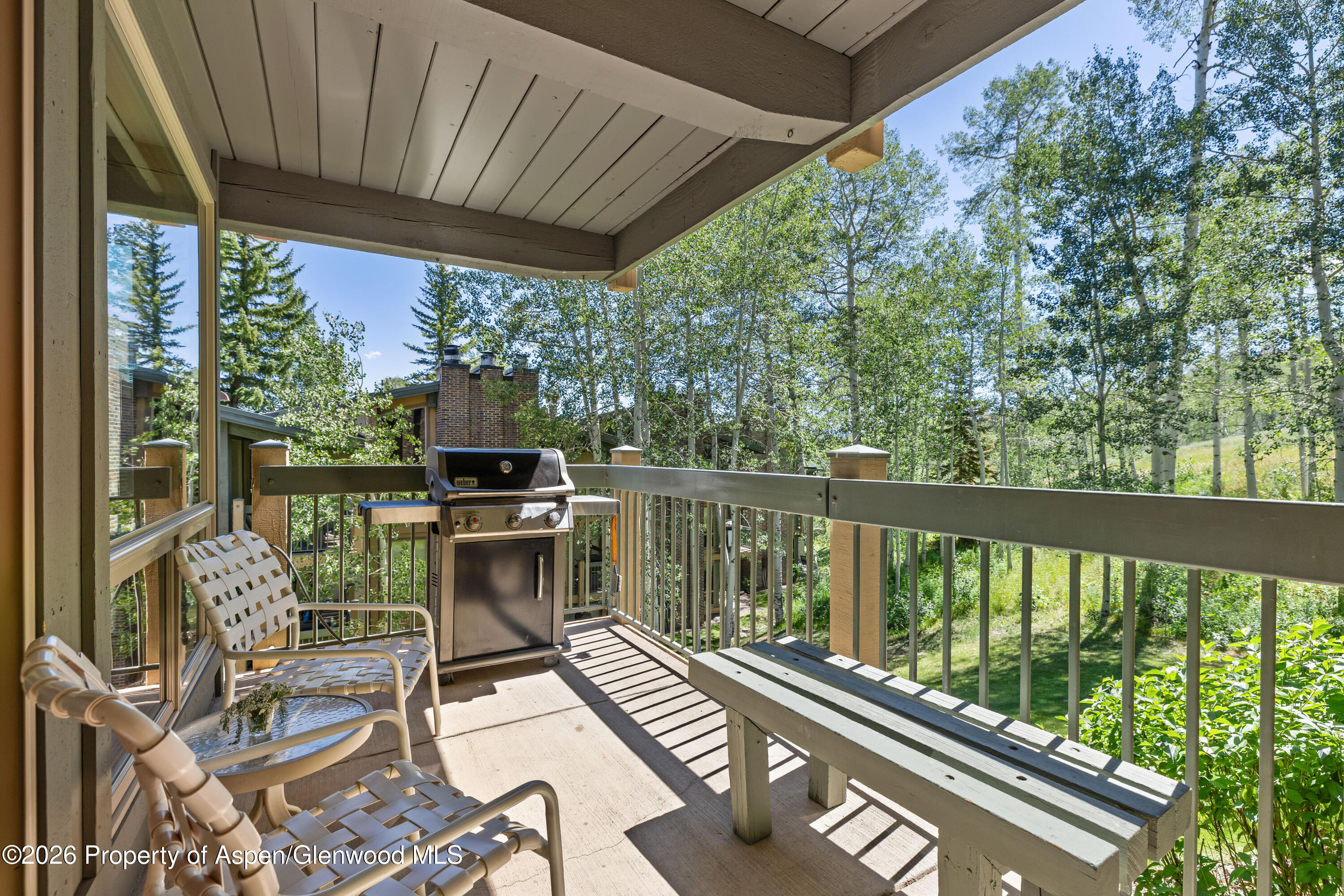 855 Carriage Way Snowmass Village CO 81615