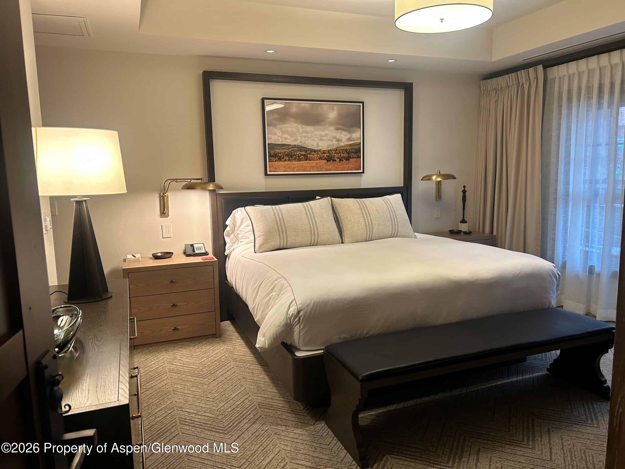 219 E Durant Avenue Aspen CO 81611