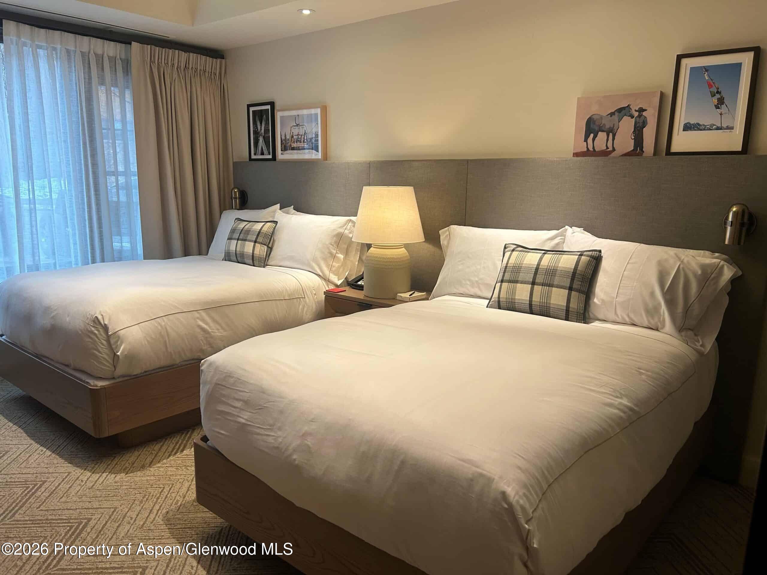 219 E Durant Avenue Aspen CO 81611