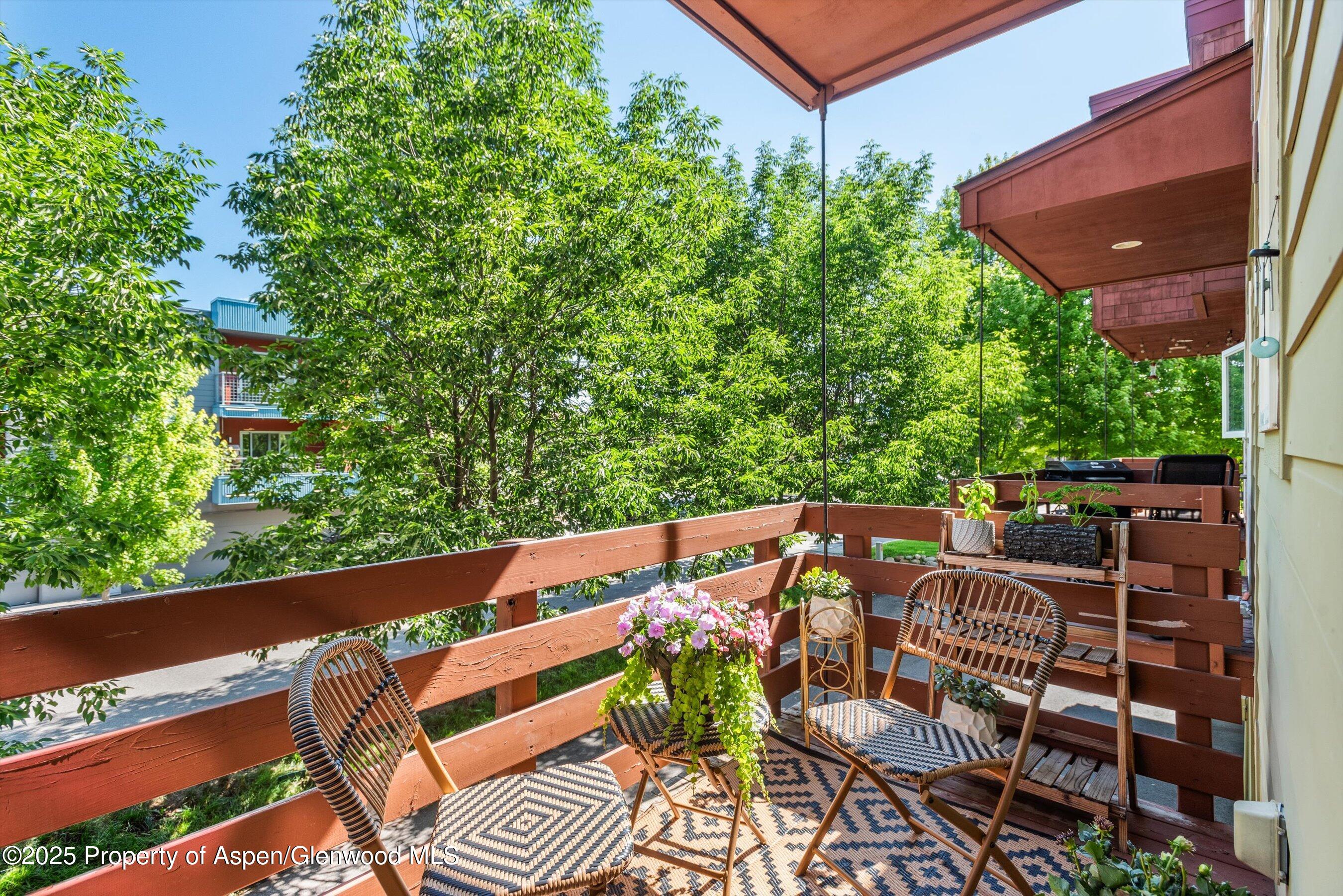 169 Village Lane Carbondale CO 81623