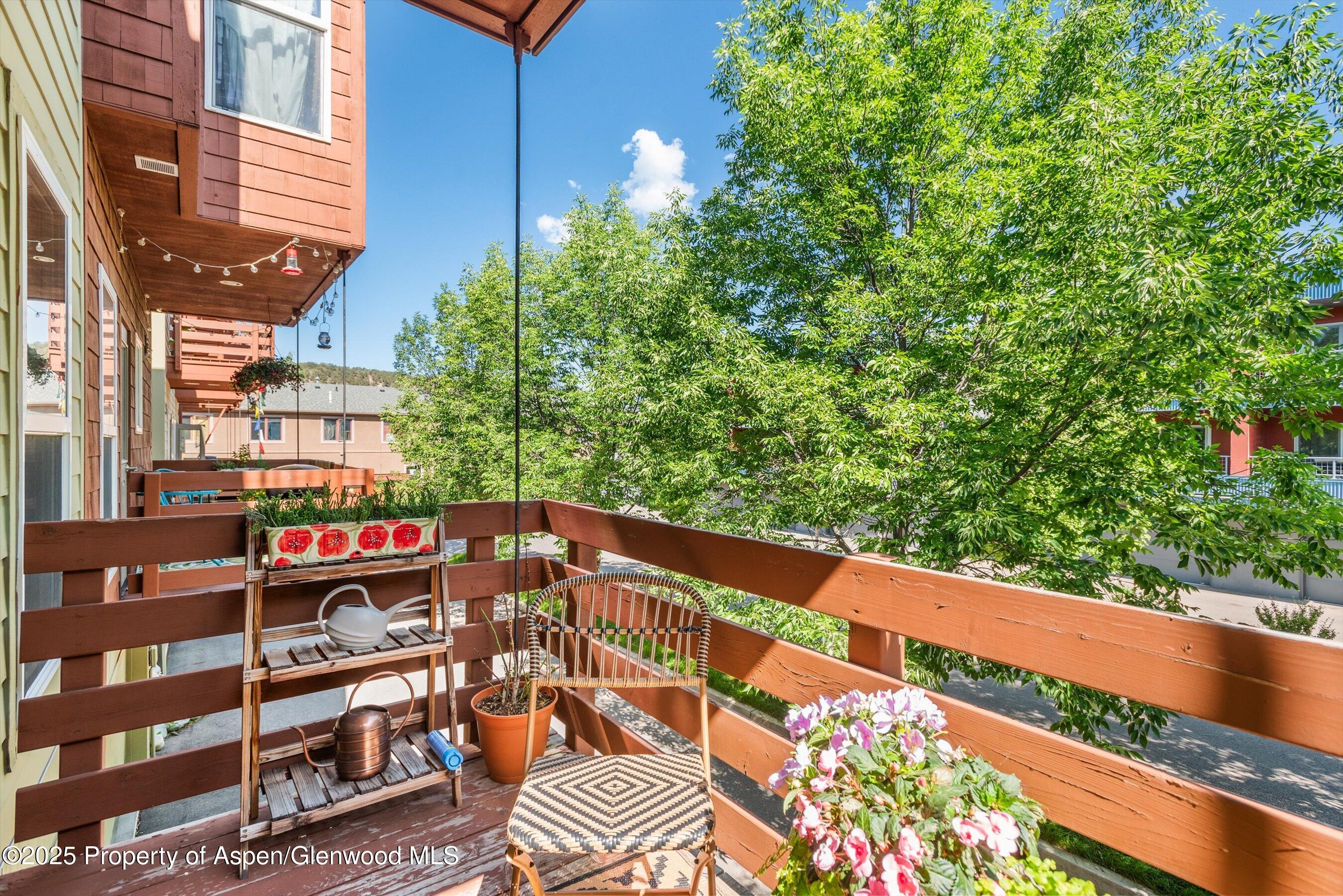 169 Village Lane Carbondale CO 81623