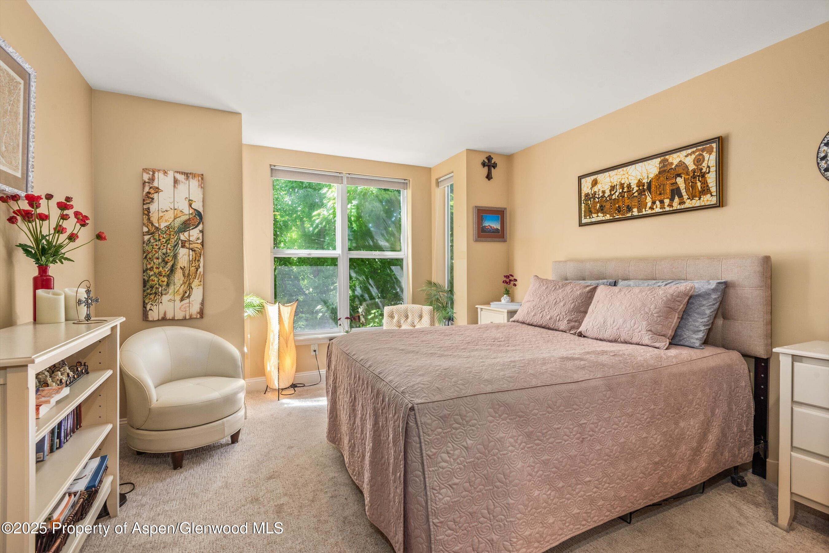 169 Village Lane Carbondale CO 81623