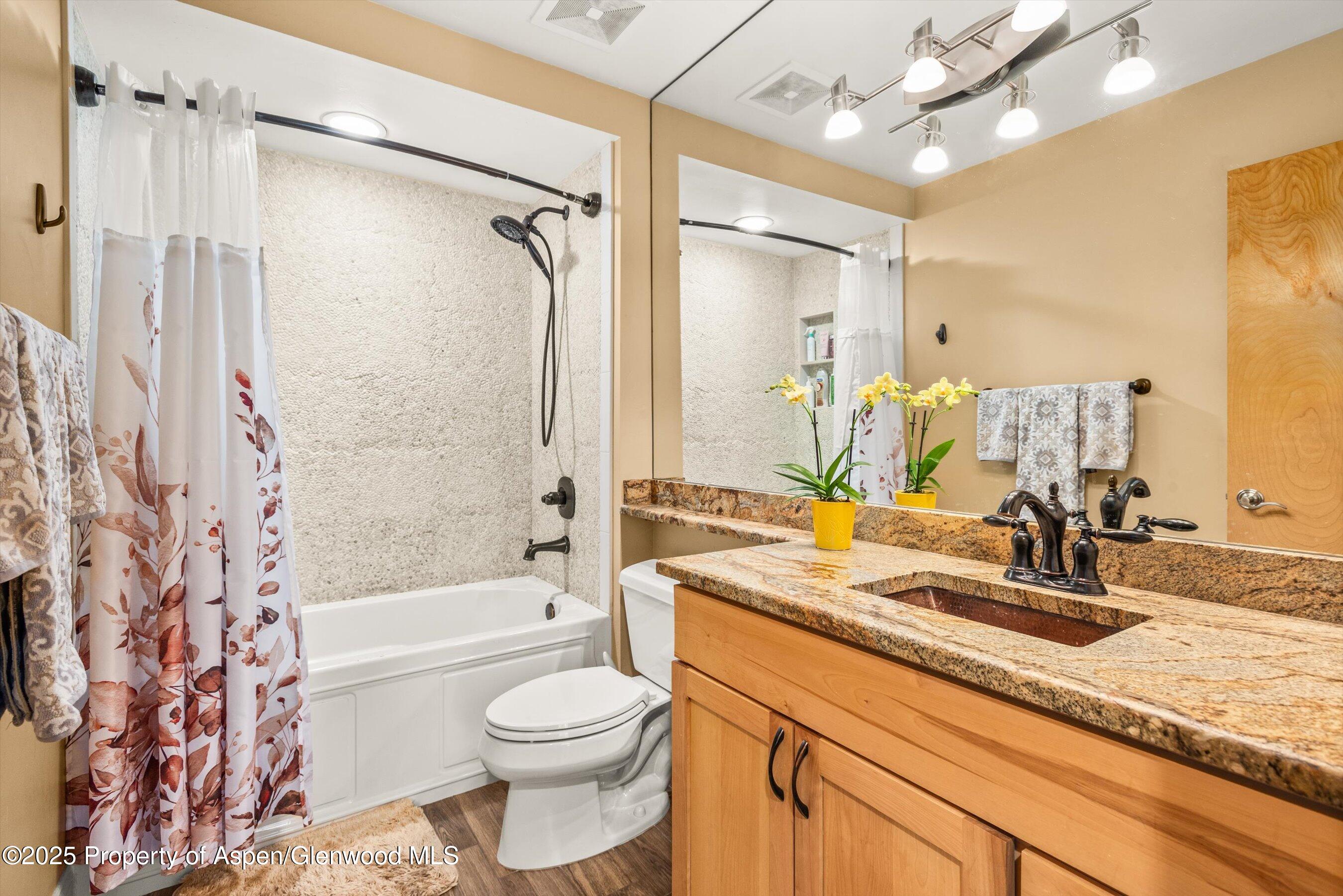 169 Village Lane Carbondale CO 81623