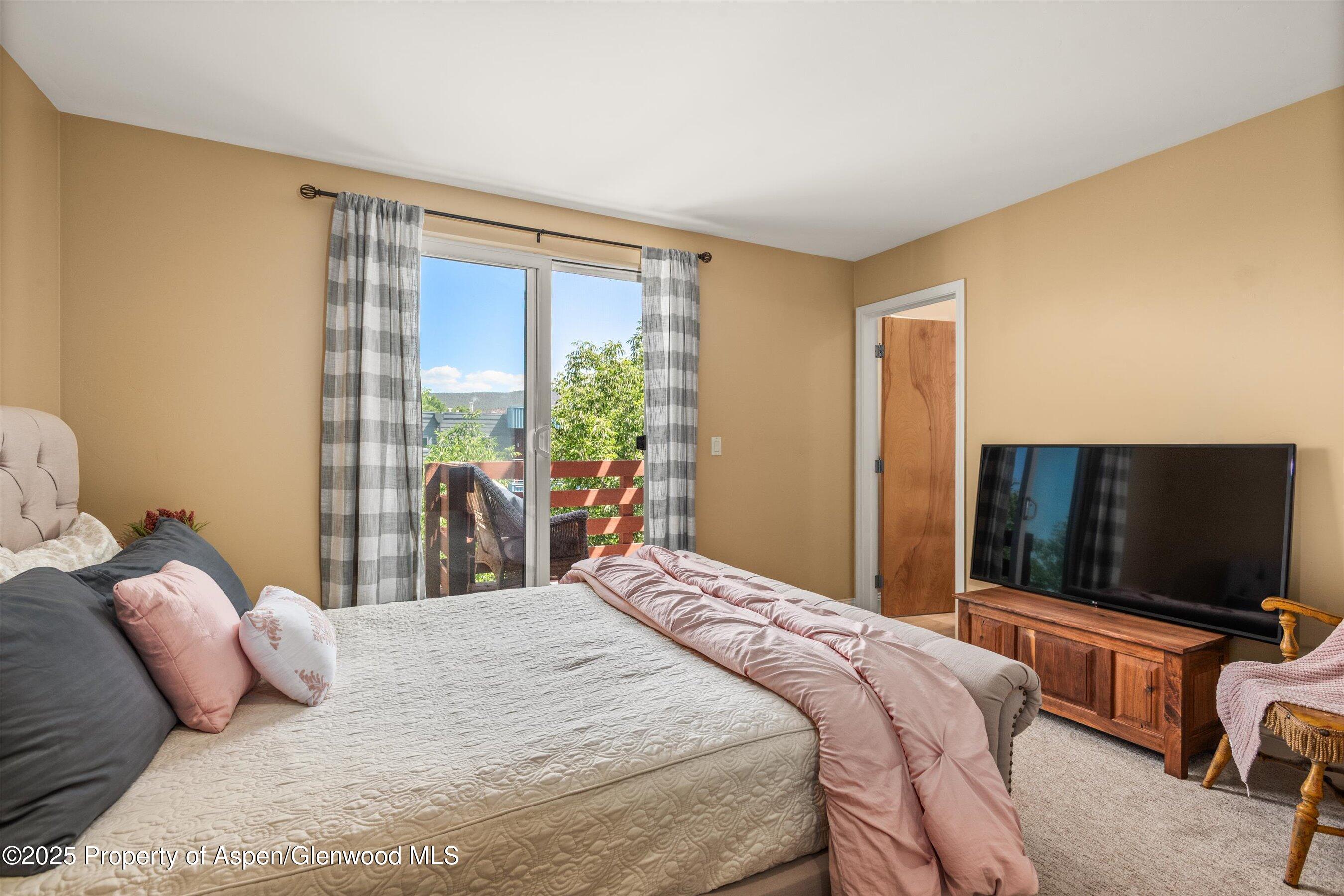 169 Village Lane Carbondale CO 81623