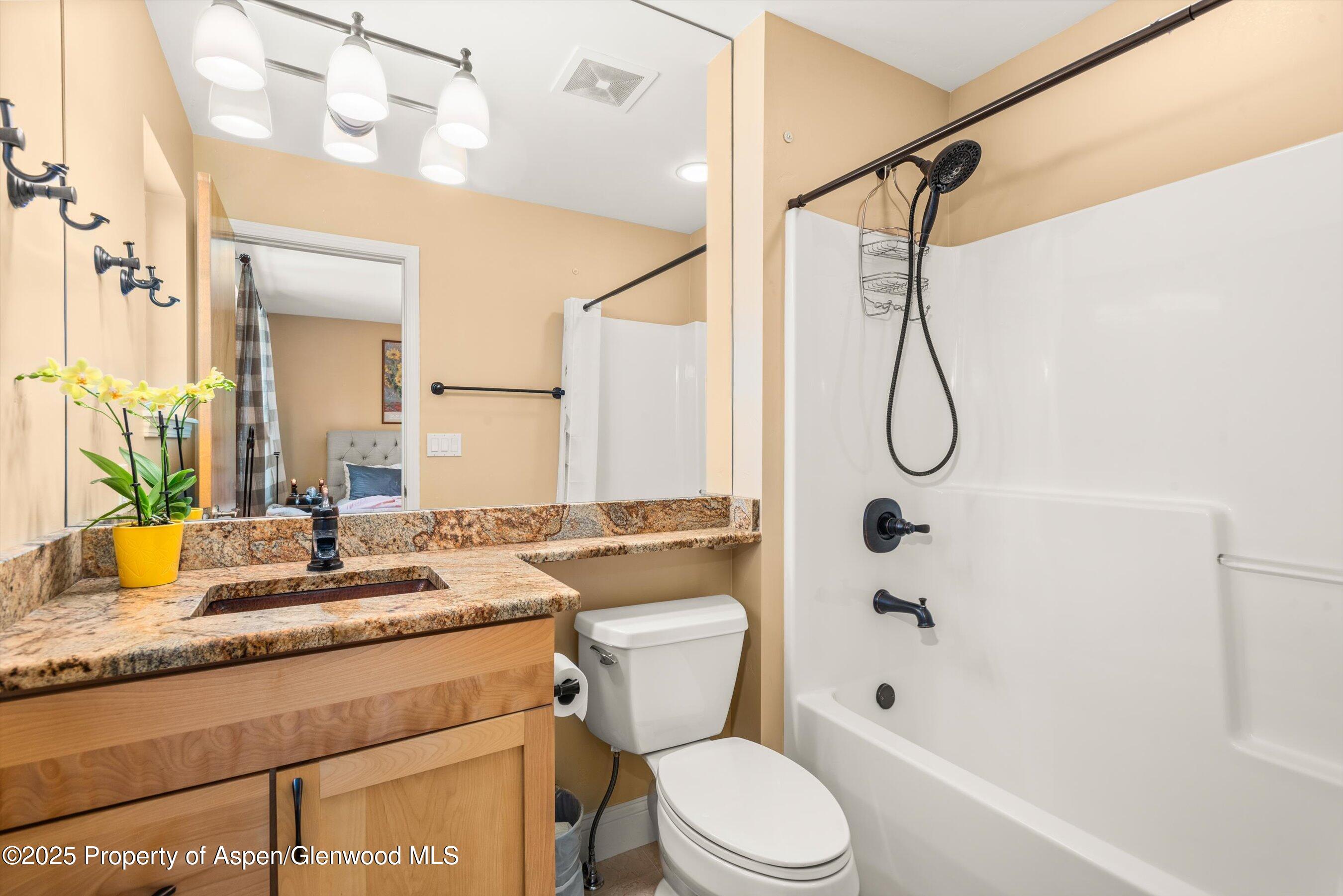 169 Village Lane Carbondale CO 81623