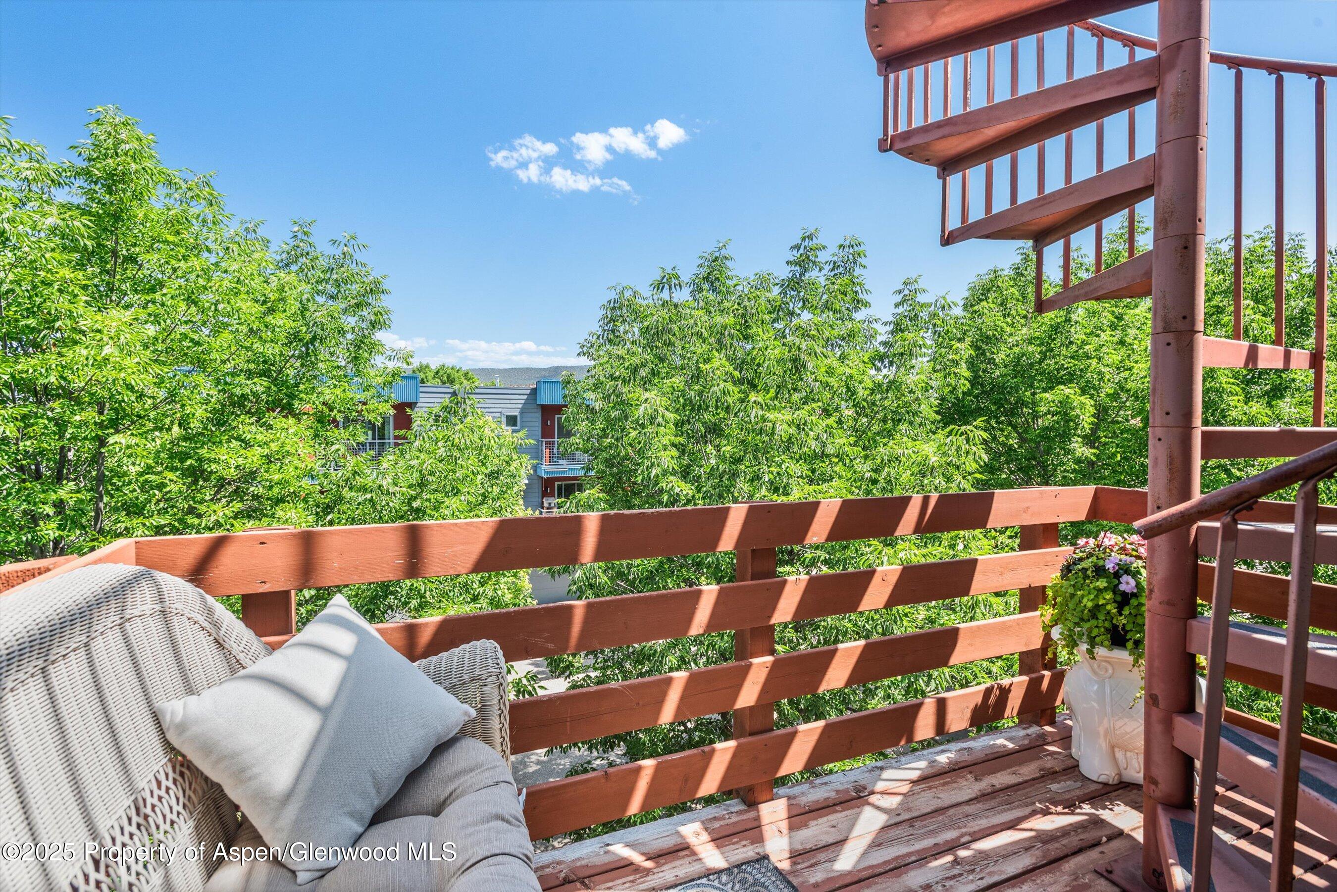 169 Village Lane Carbondale CO 81623