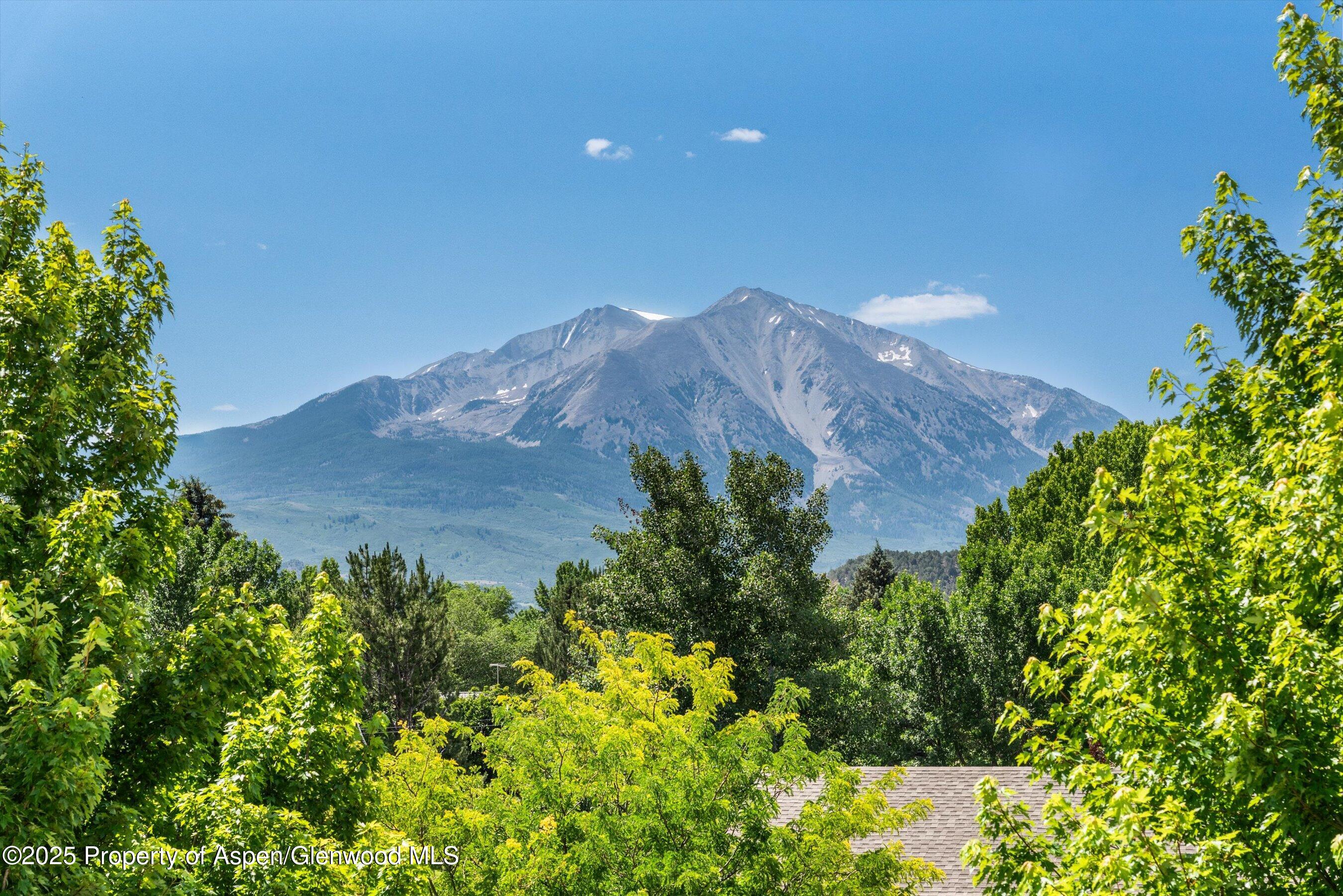 169 Village Lane Carbondale CO 81623