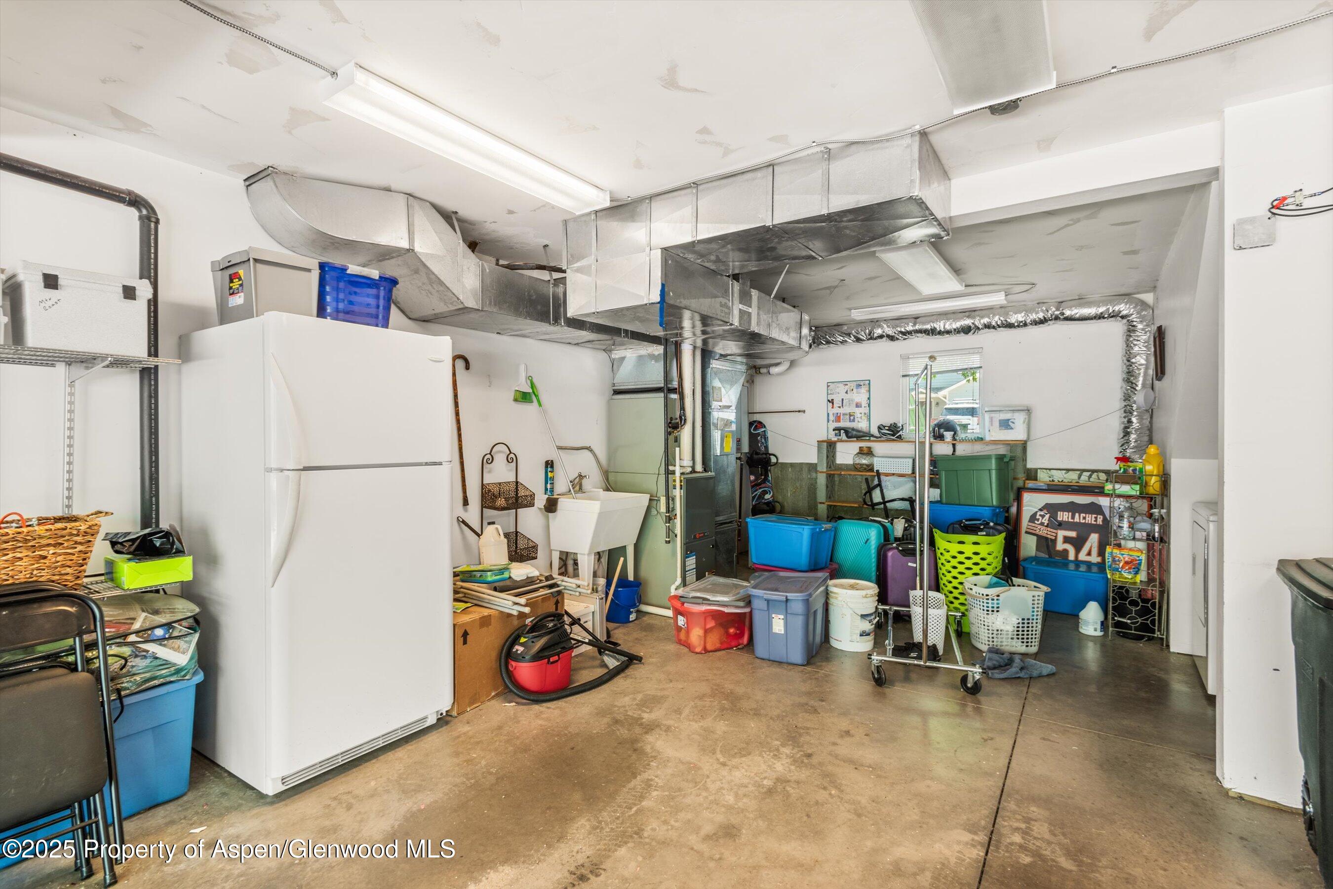 169 Village Lane Carbondale CO 81623