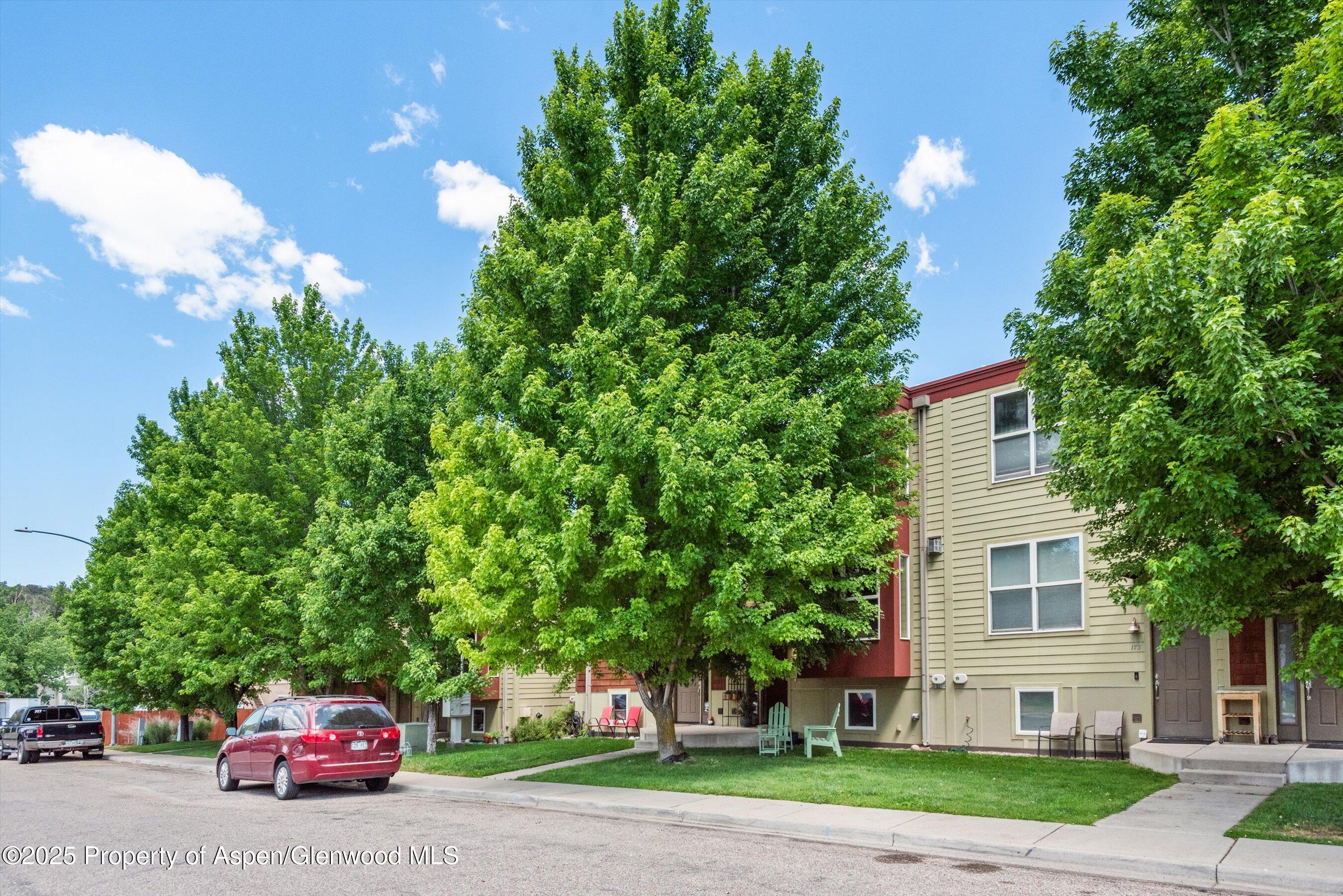 169 Village Lane Carbondale CO 81623