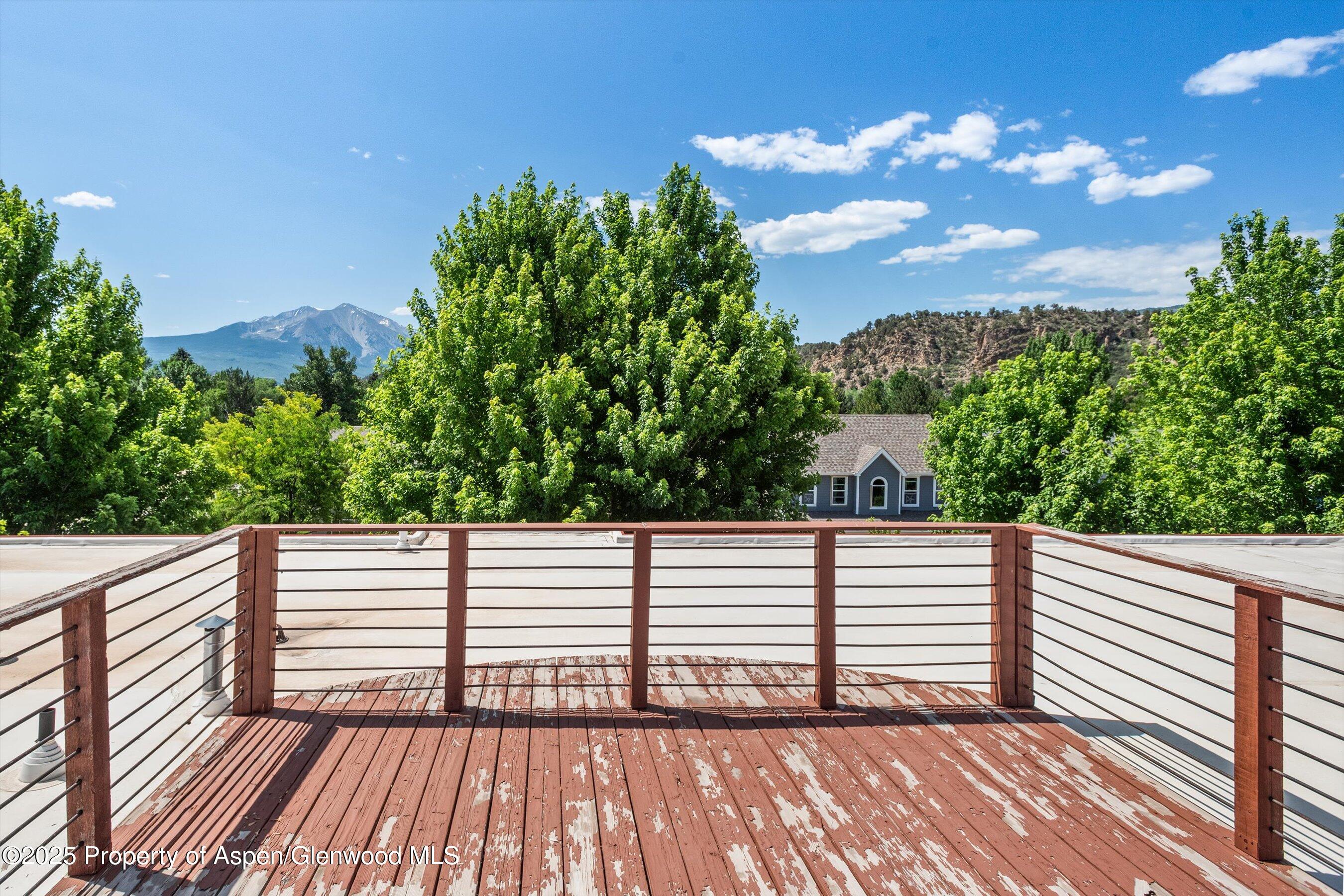 169 Village Lane Carbondale CO 81623