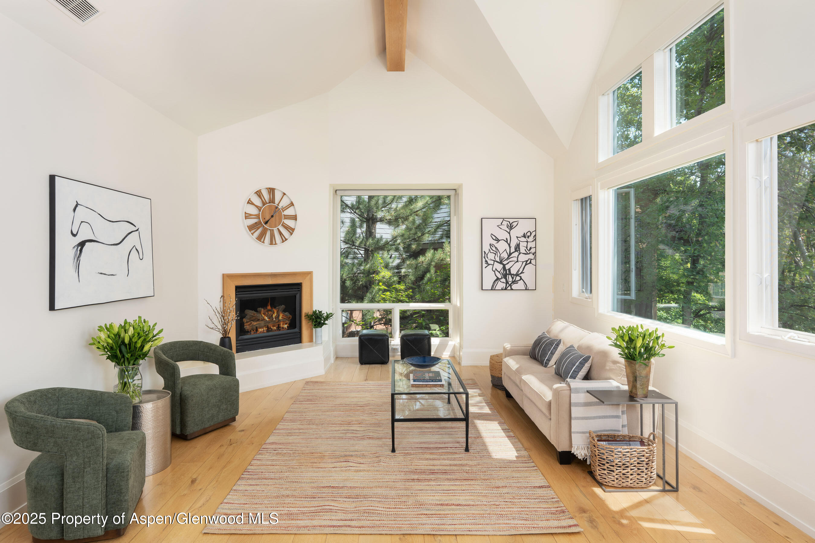 760 Promontory Lane Basalt CO 81621