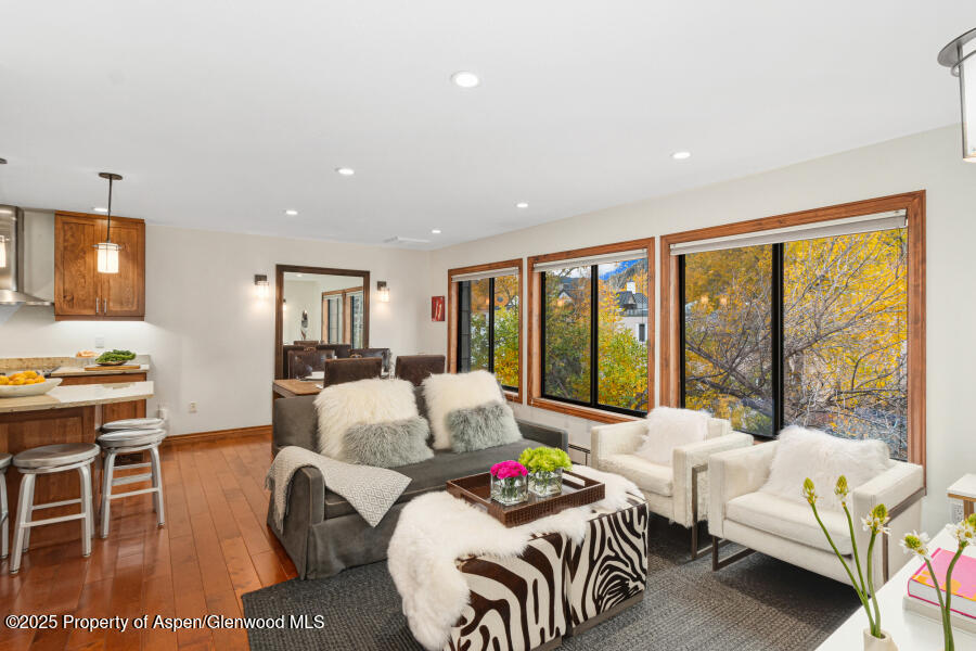 Aspen CO, 725 E Main Street, Unit 309