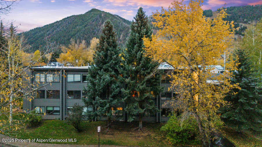 725 E Main Street Aspen CO 81611