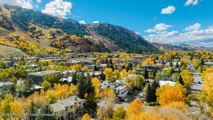725 E Main Street Aspen CO 81611