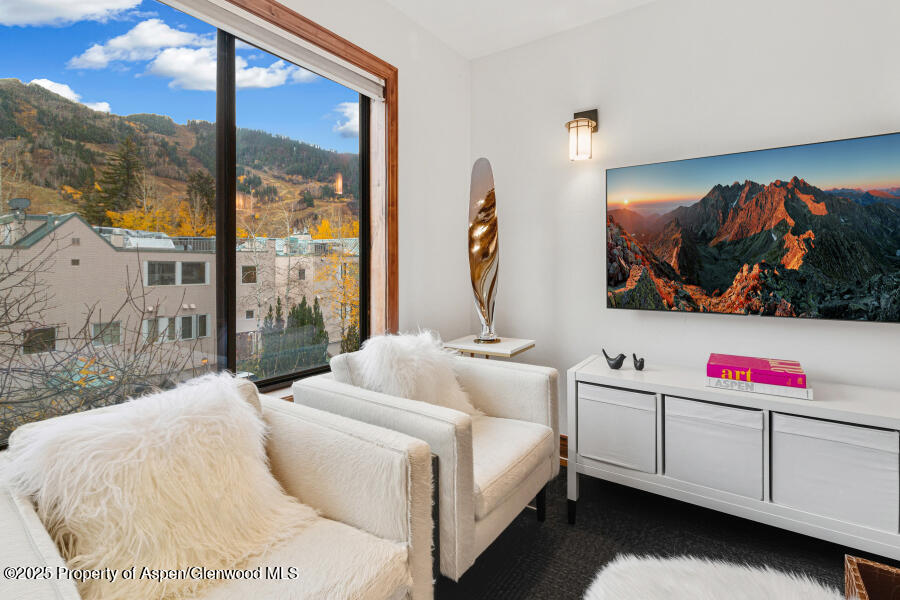 725 E Main Street Aspen CO 81611