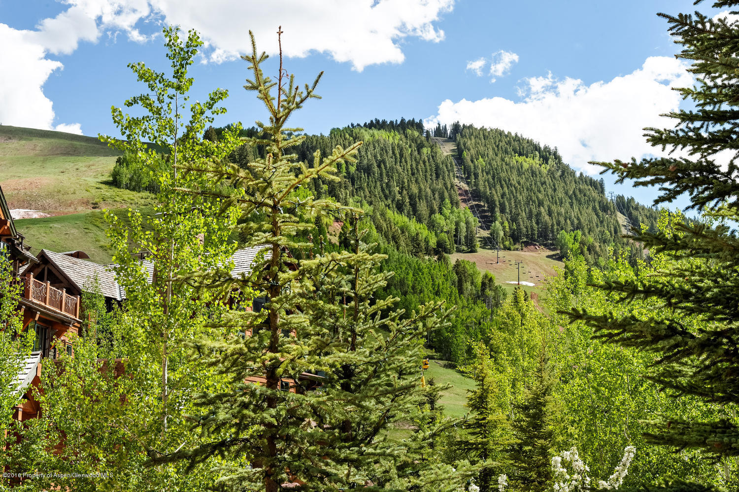 87 Thunderbowl Lane Aspen CO 81611