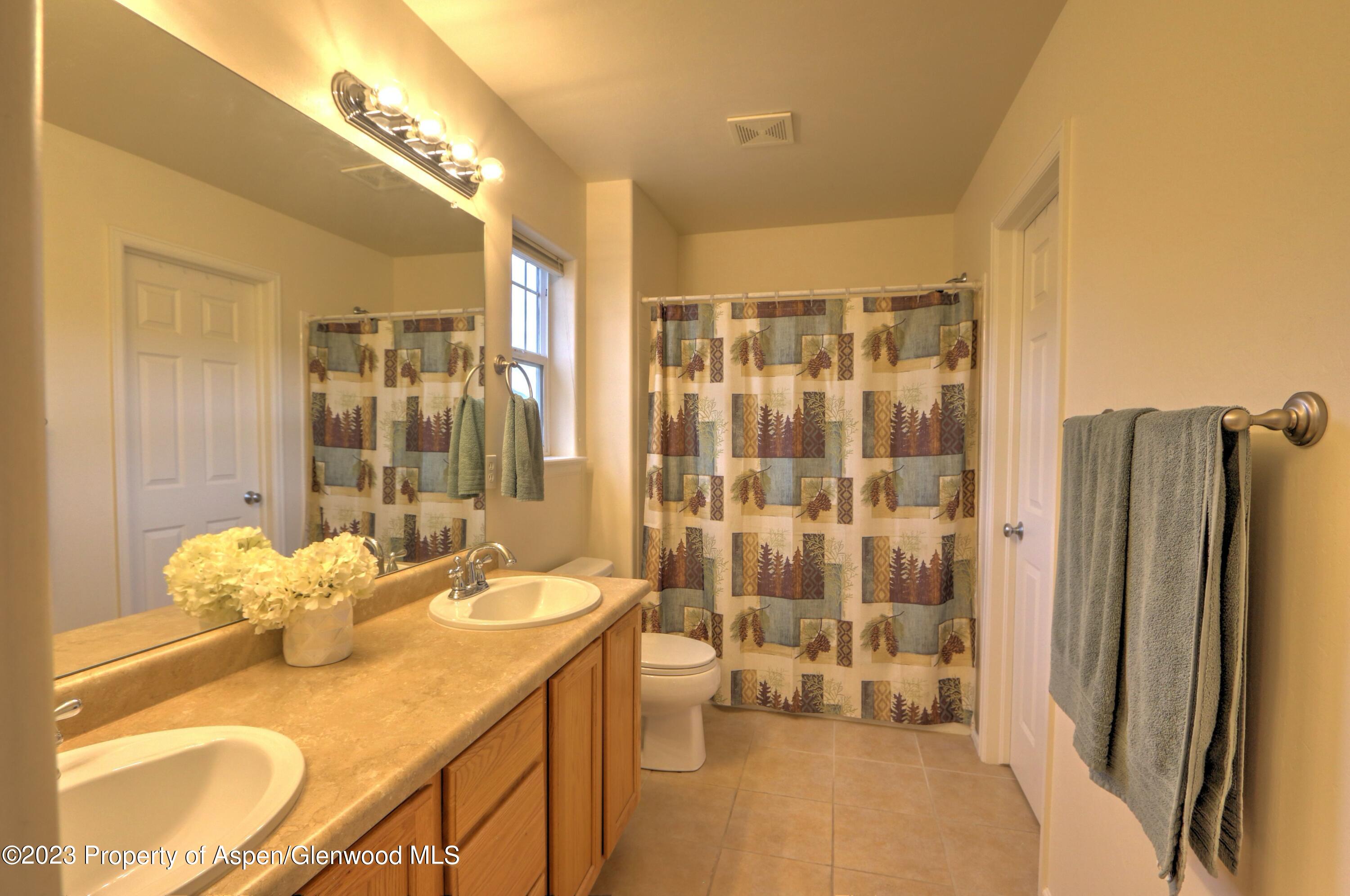 113 E Cathedral Court New Castle CO 81647