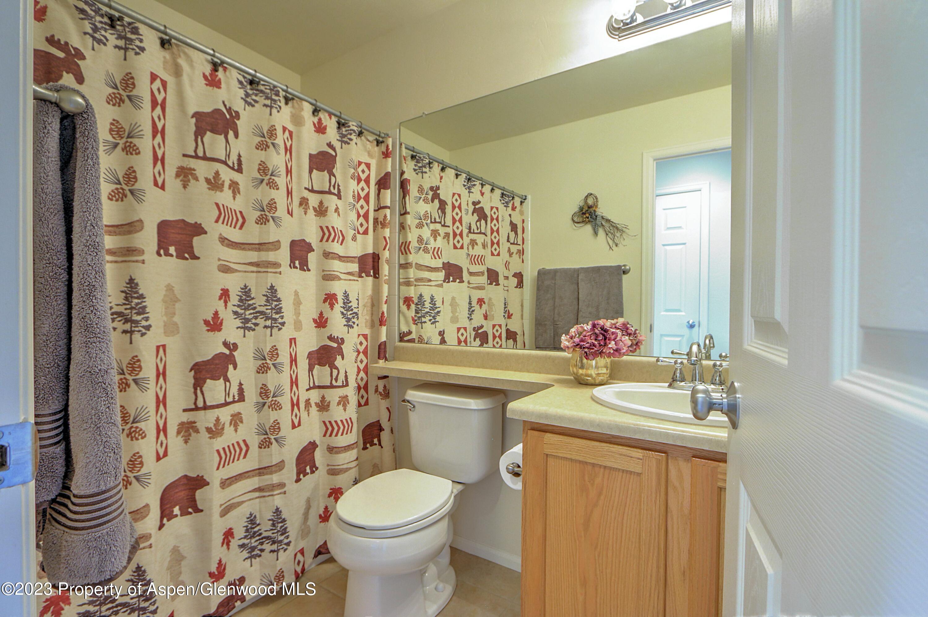 113 E Cathedral Court New Castle CO 81647