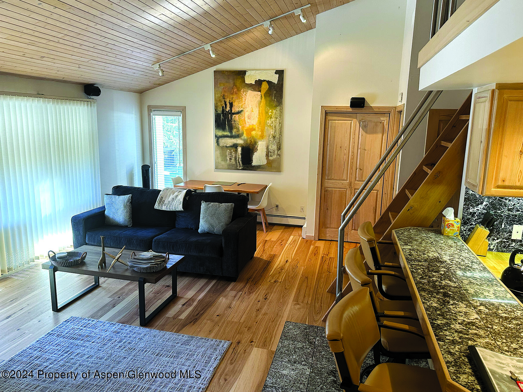 935 E Hopkins #12 Aspen CO 81611