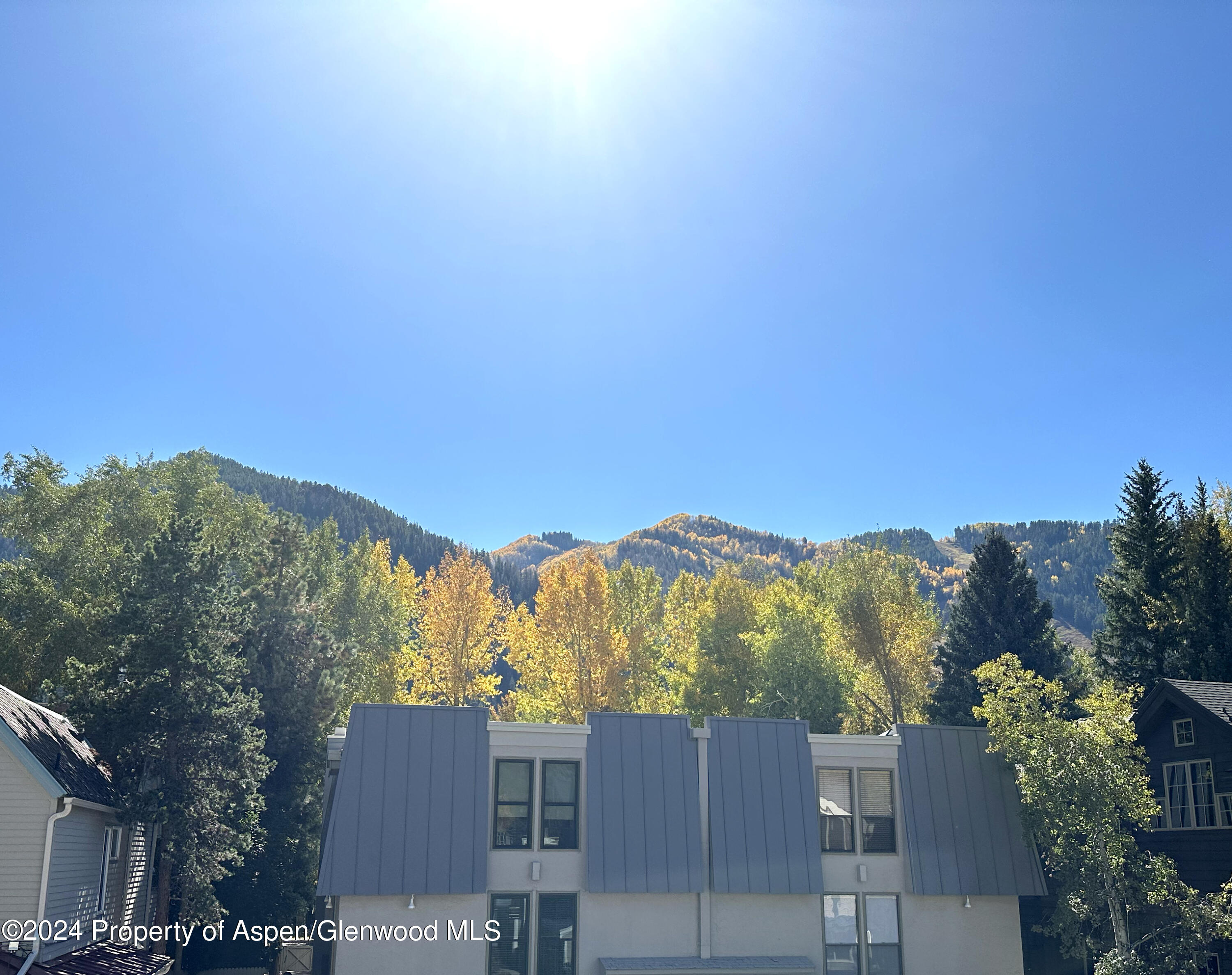 935 E Hopkins #12 Aspen CO 81611