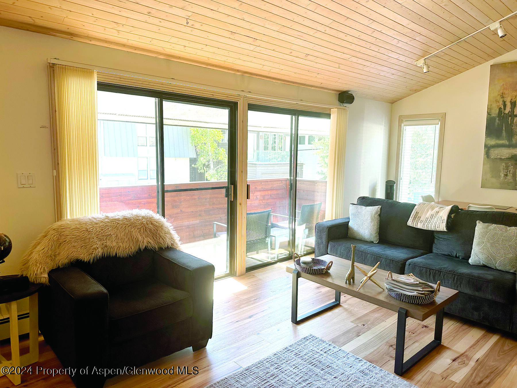 935 E Hopkins #12 Aspen CO 81611