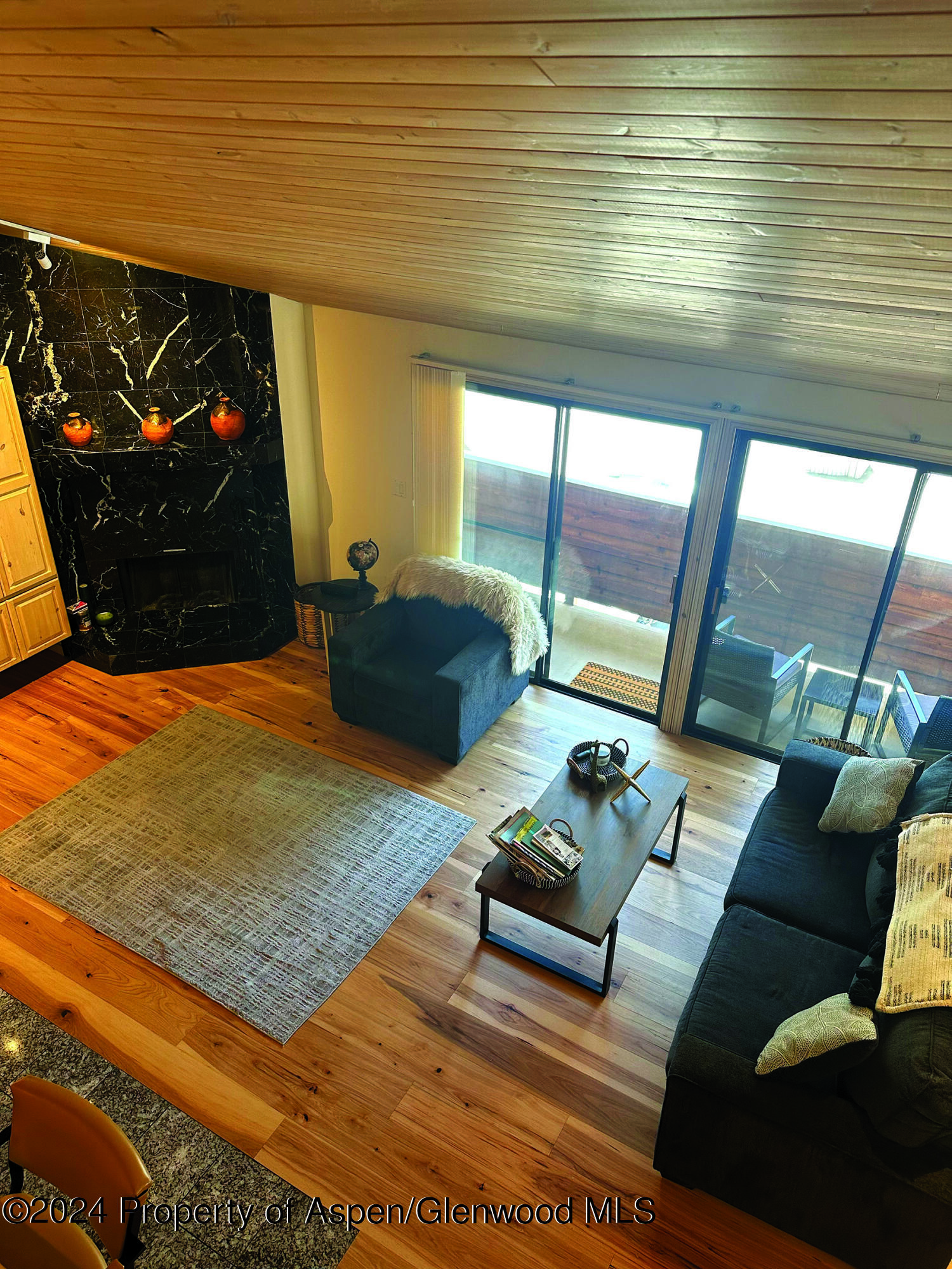 935 E Hopkins #12 Aspen CO 81611