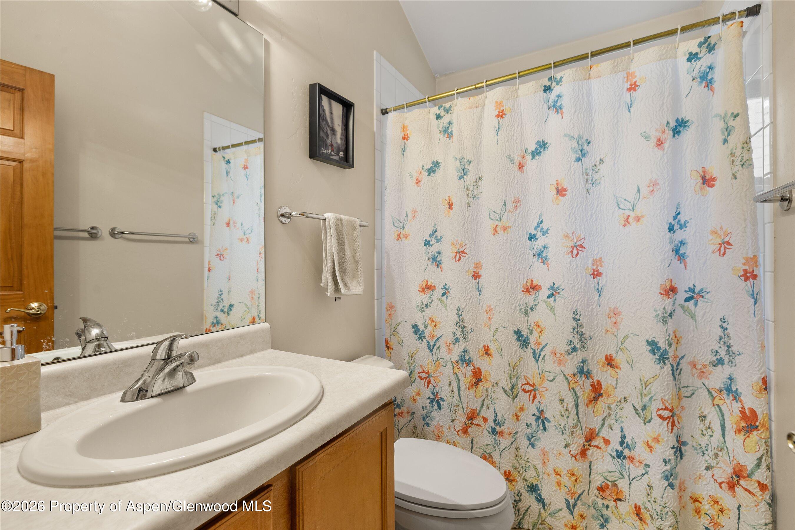265 Southside Drive Basalt CO 81621