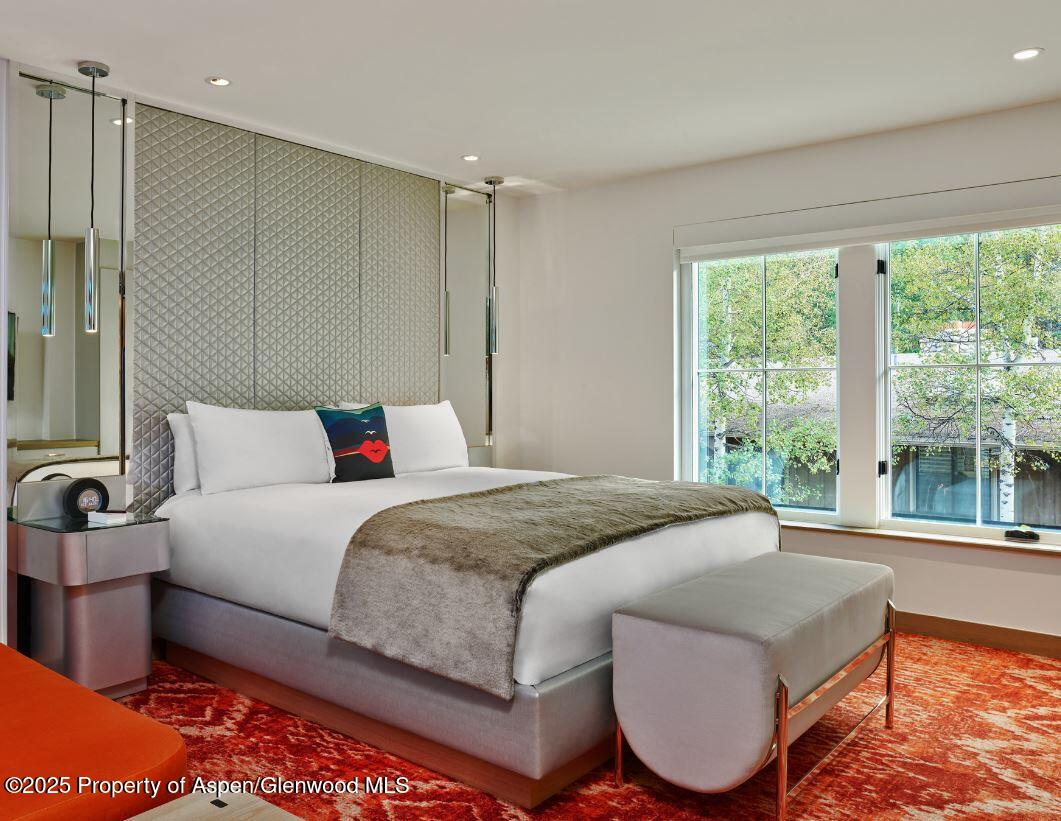 550 S Spring Street Aspen CO 81611