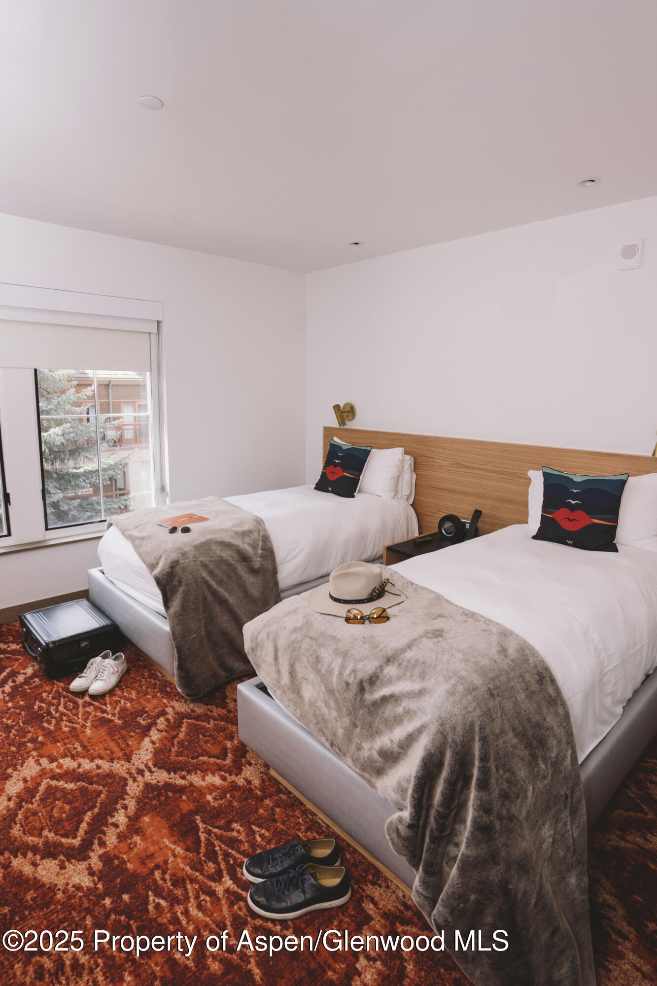 550 S Spring Street Aspen CO 81611