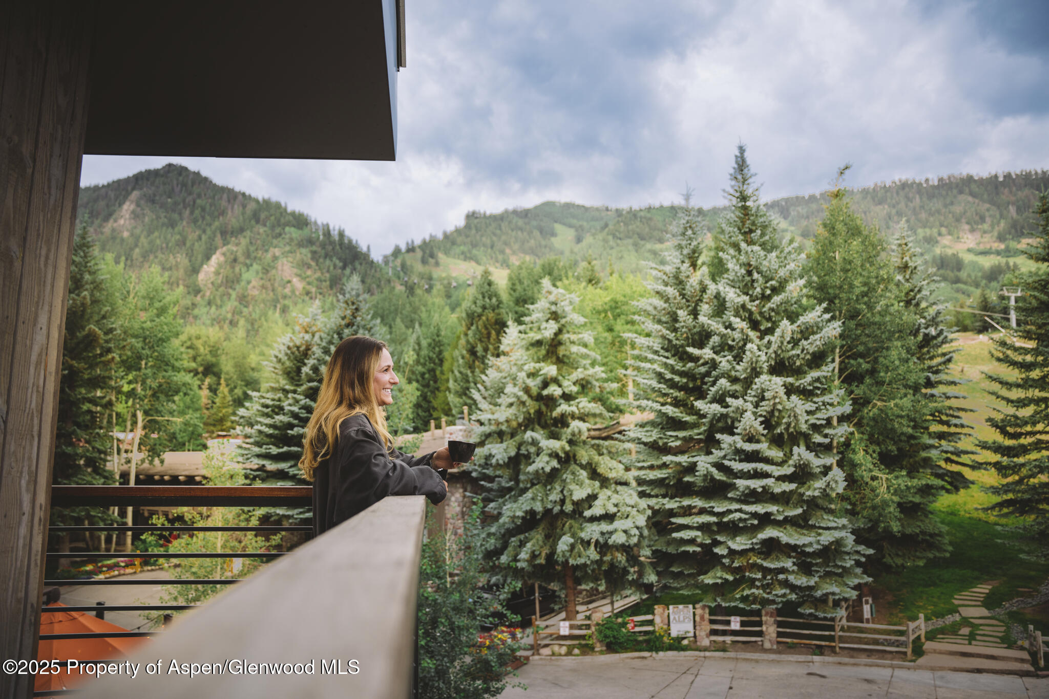 550 S Spring Street Aspen CO 81611