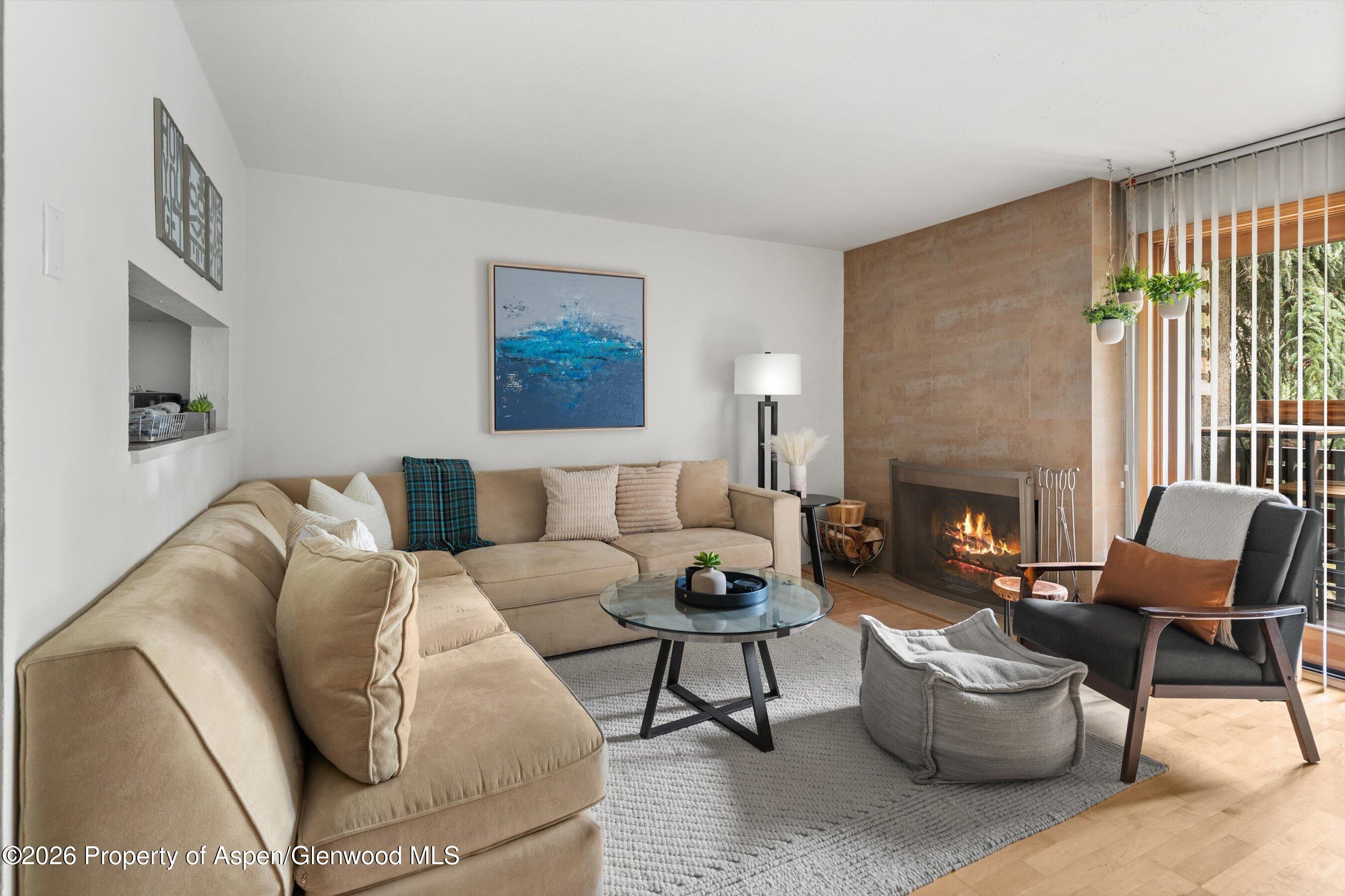 Aspen CO, 910 W Hallam Street, Unit #8