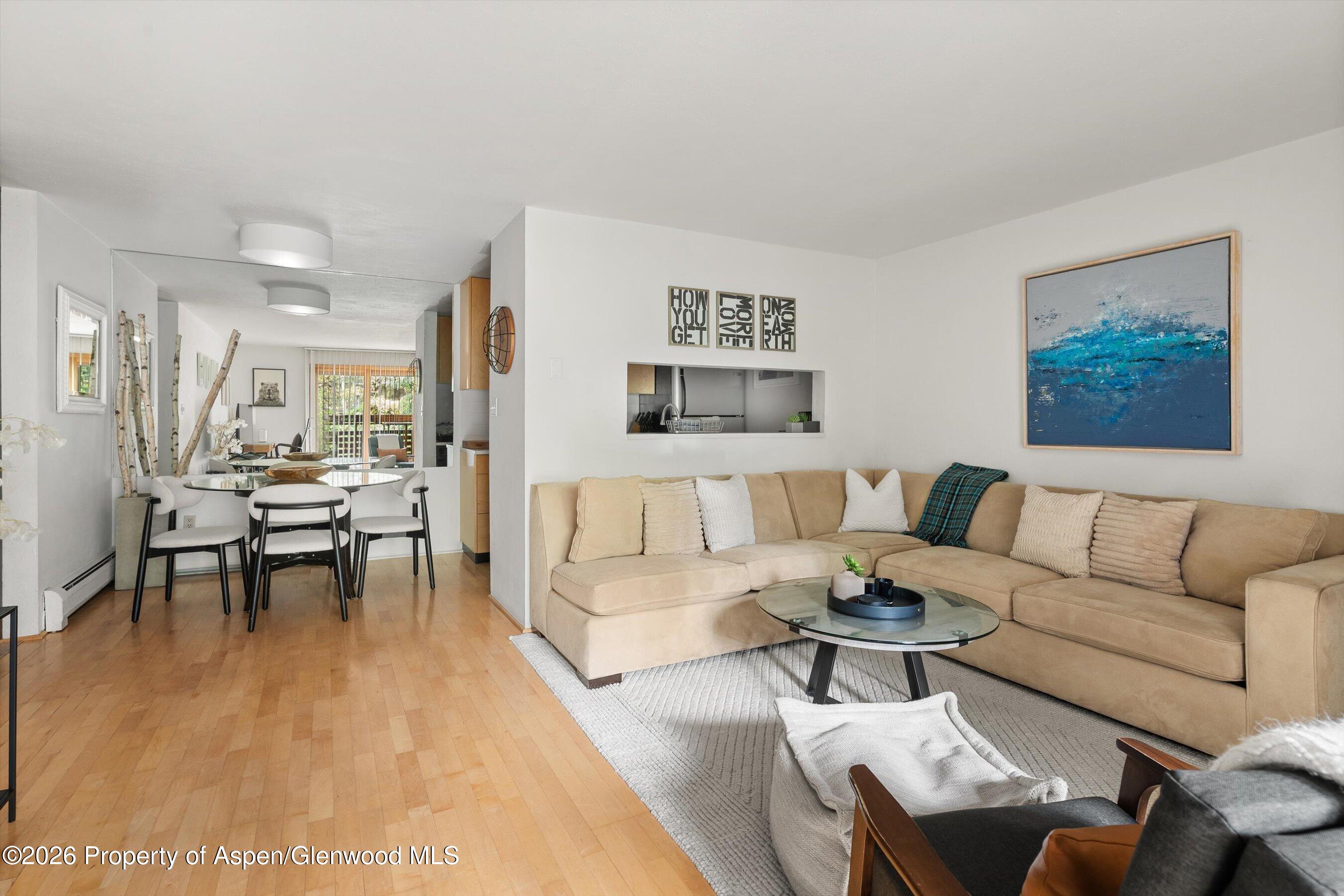 910 W Hallam Street Aspen CO 81611