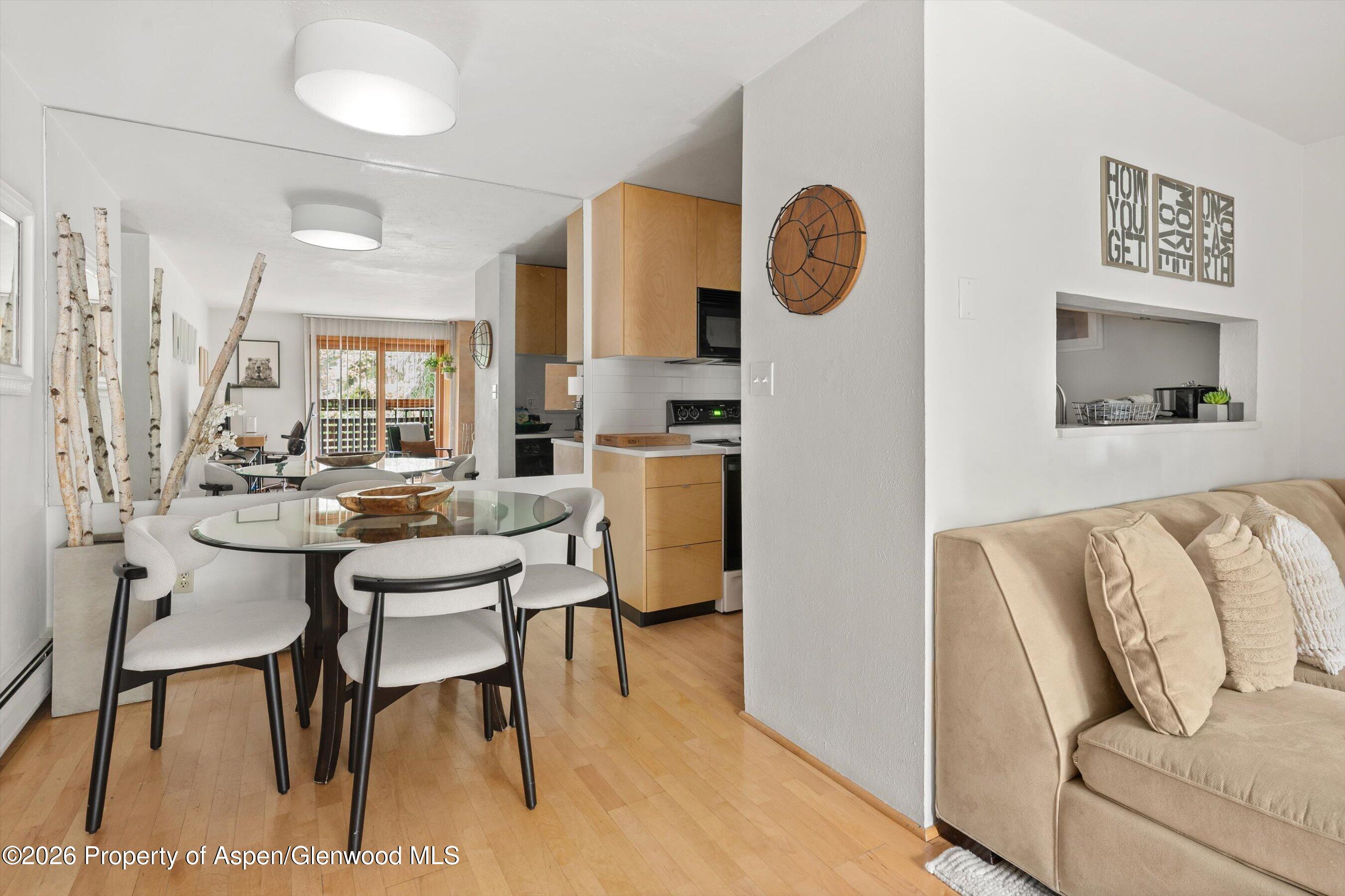 910 W Hallam Street Aspen CO 81611