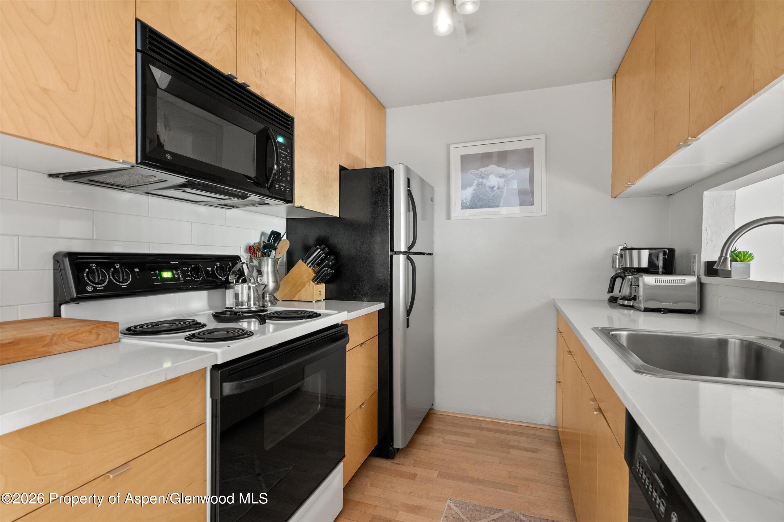 910 W Hallam Street Aspen CO 81611