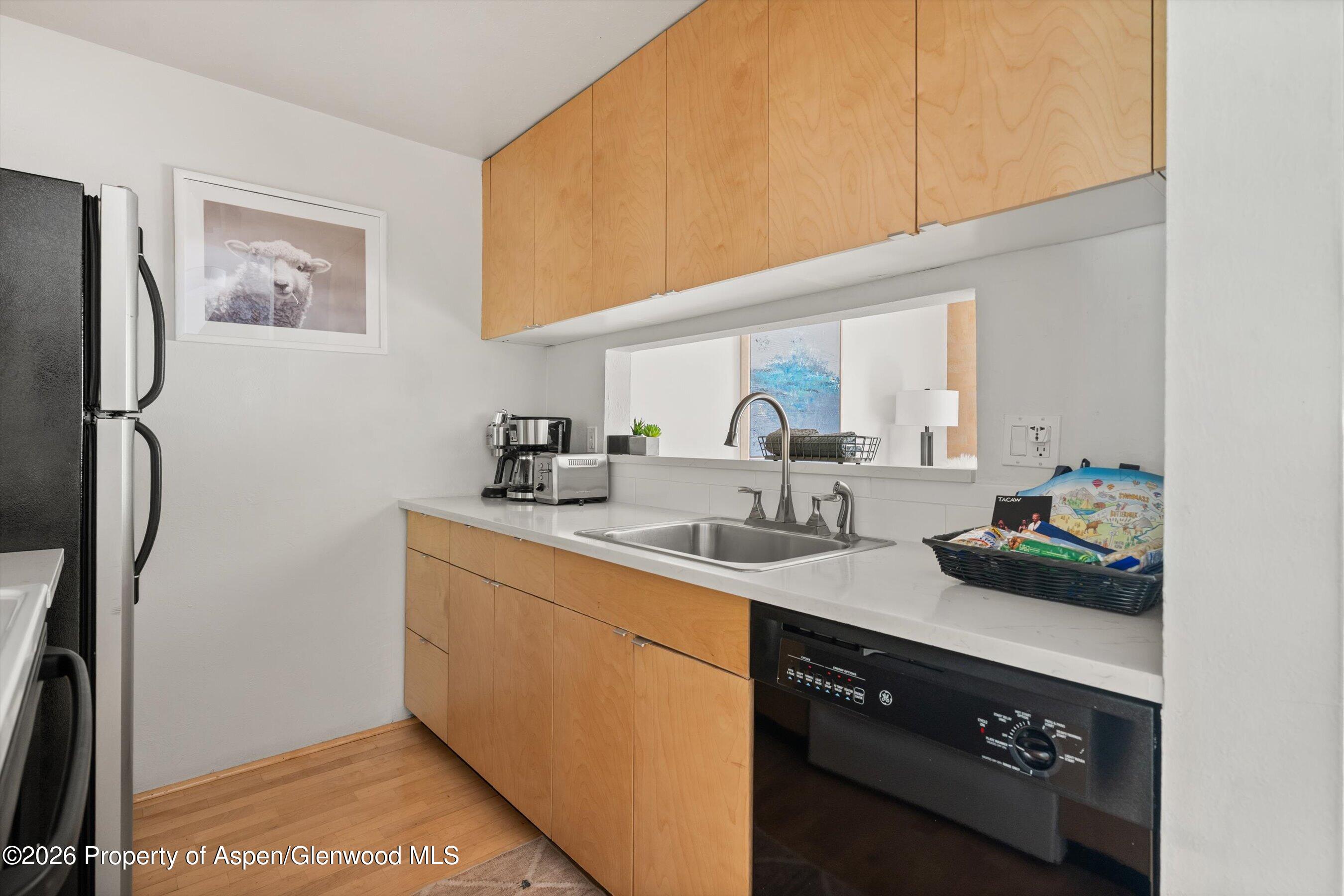 910 W Hallam Street Aspen CO 81611