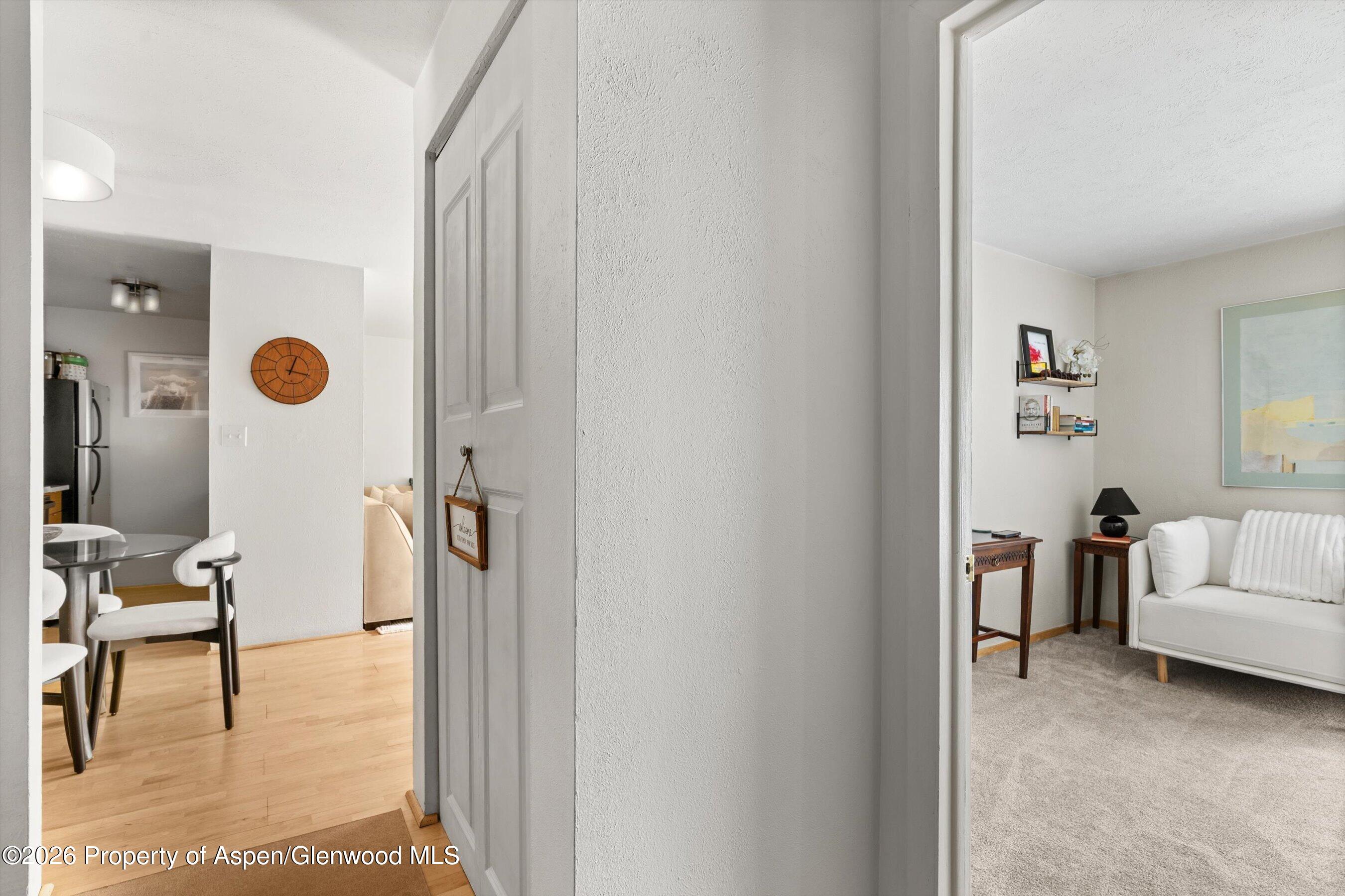 910 W Hallam Street Aspen CO 81611