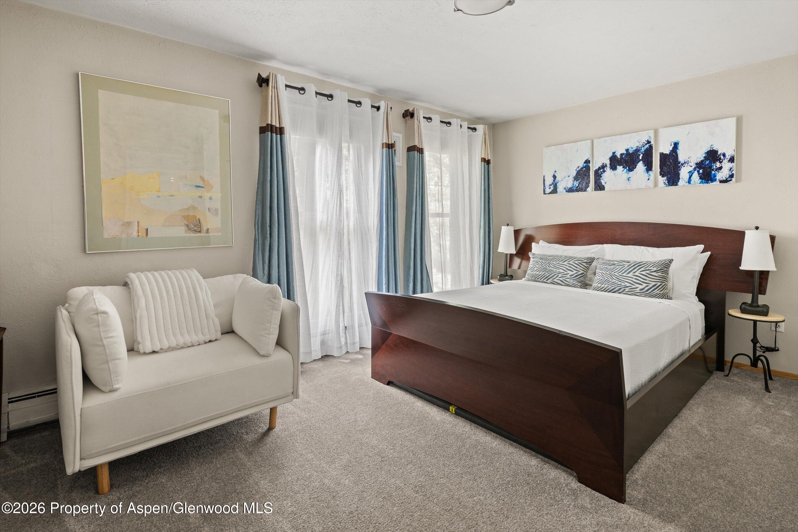 910 W Hallam Street Aspen CO 81611