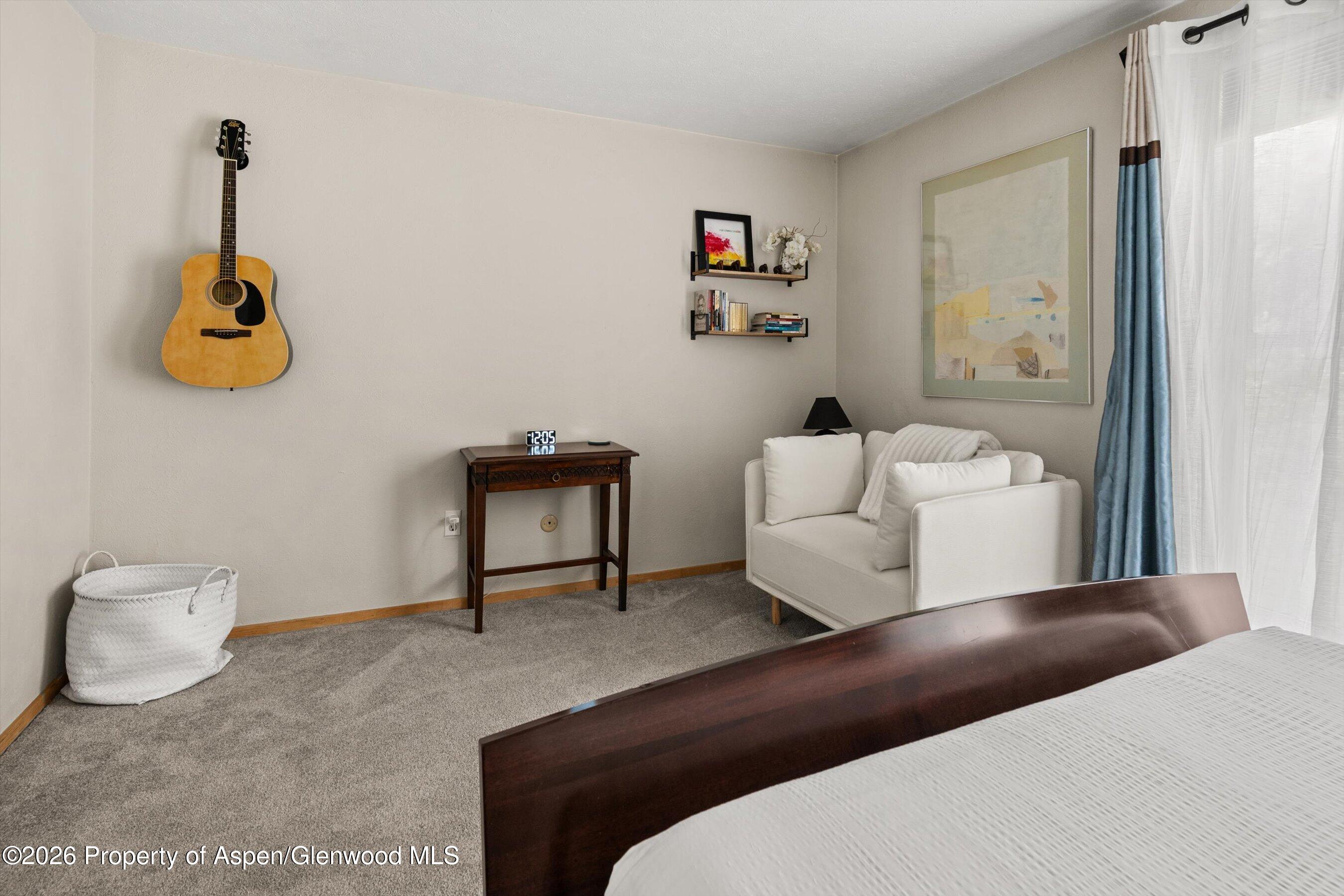 910 W Hallam Street Aspen CO 81611
