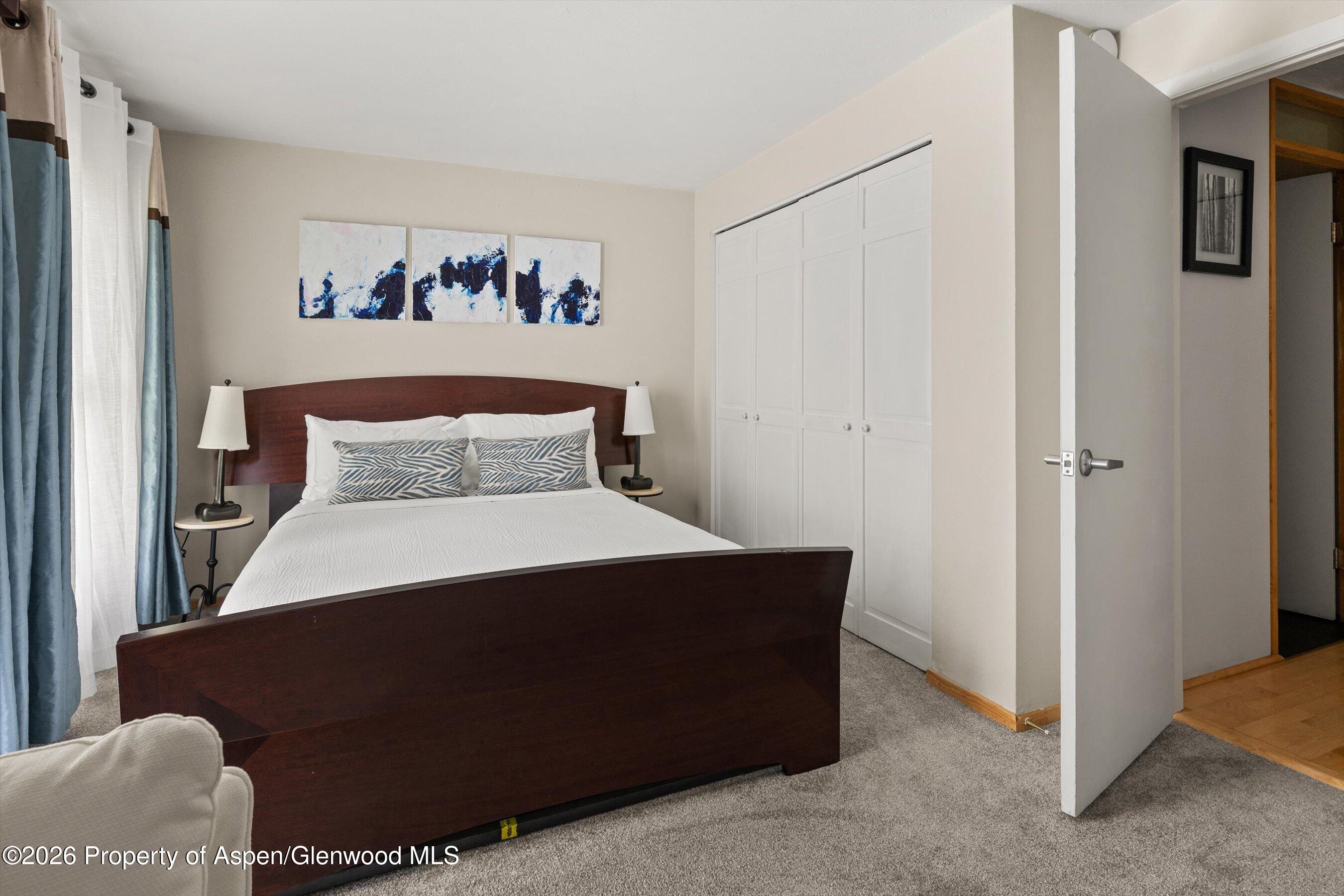 910 W Hallam Street Aspen CO 81611