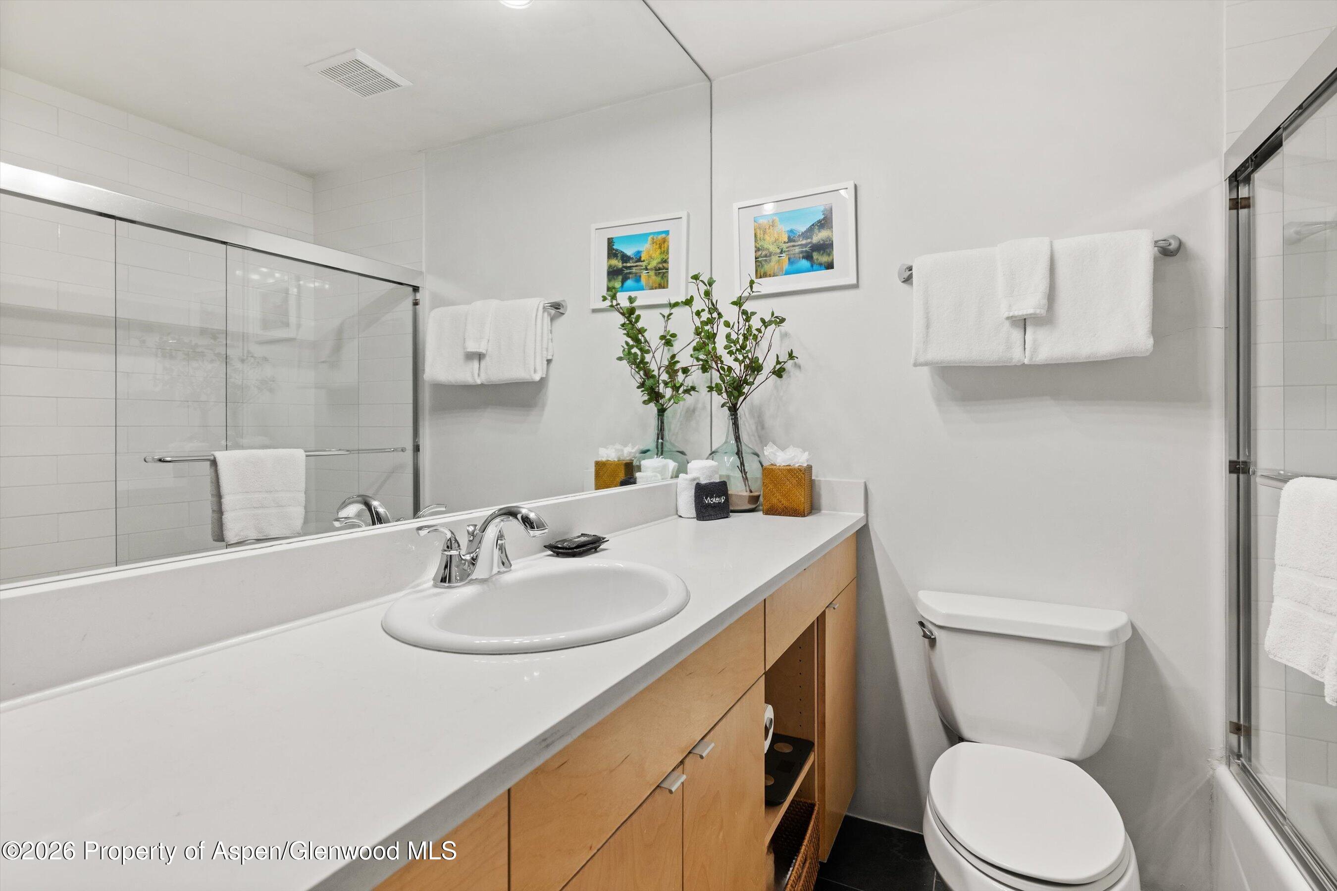 910 W Hallam Street Aspen CO 81611