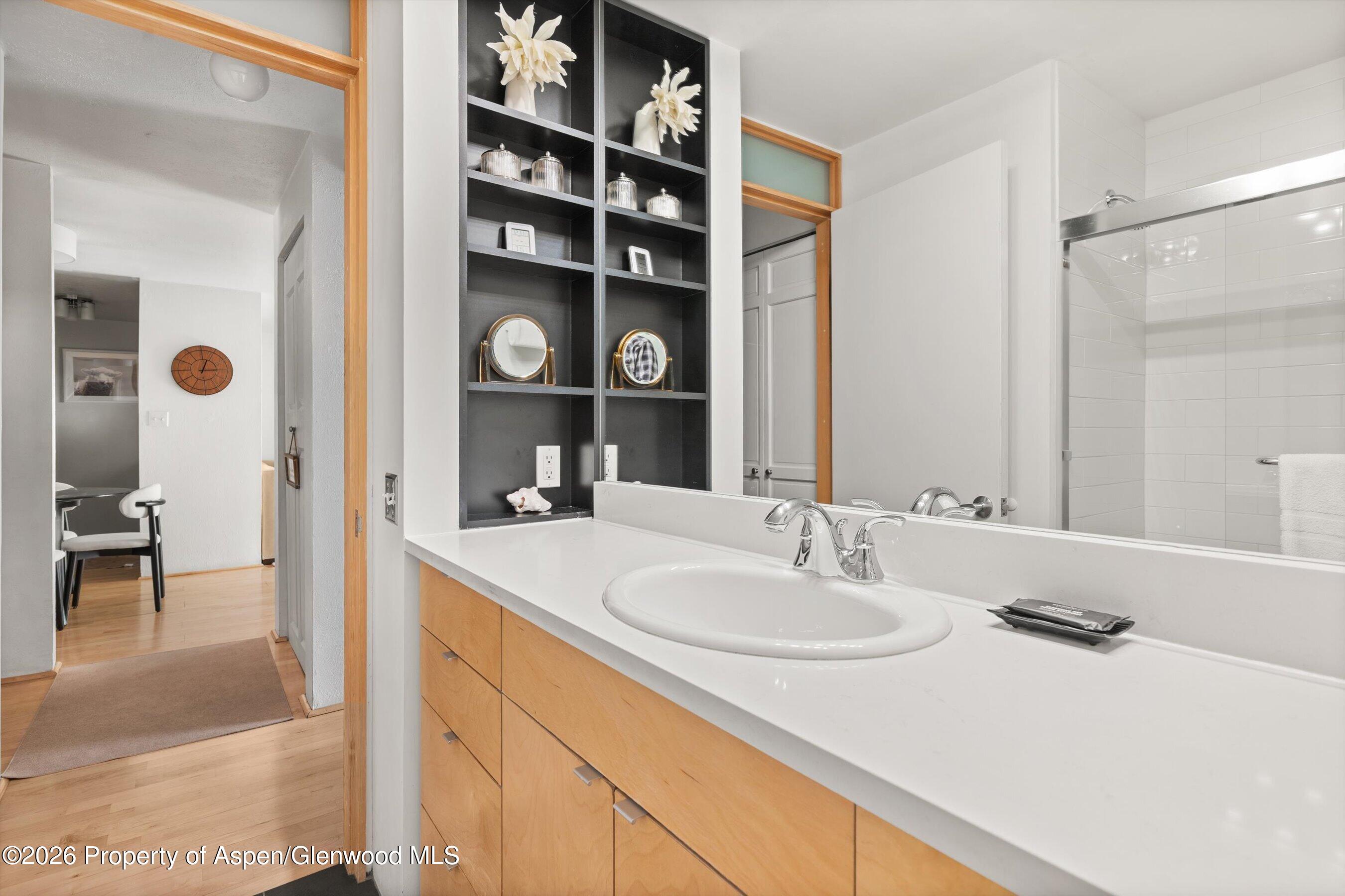 910 W Hallam Street Aspen CO 81611