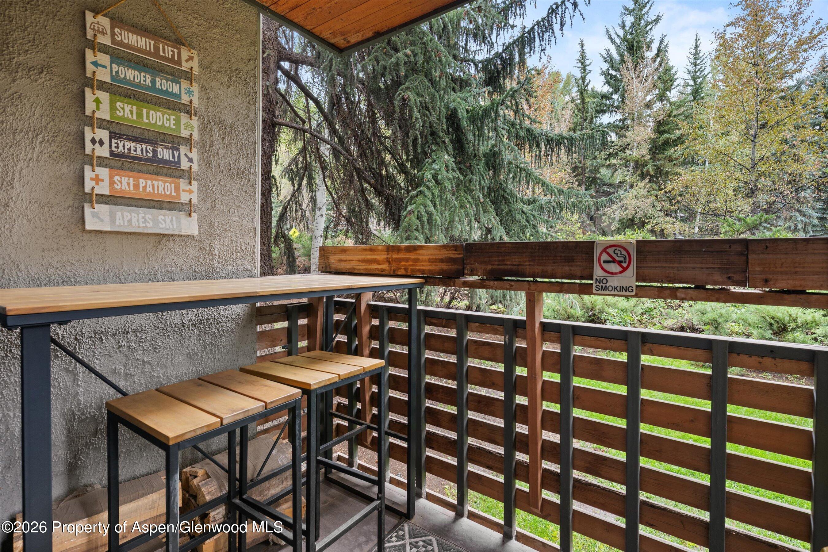 910 W Hallam Street Aspen CO 81611