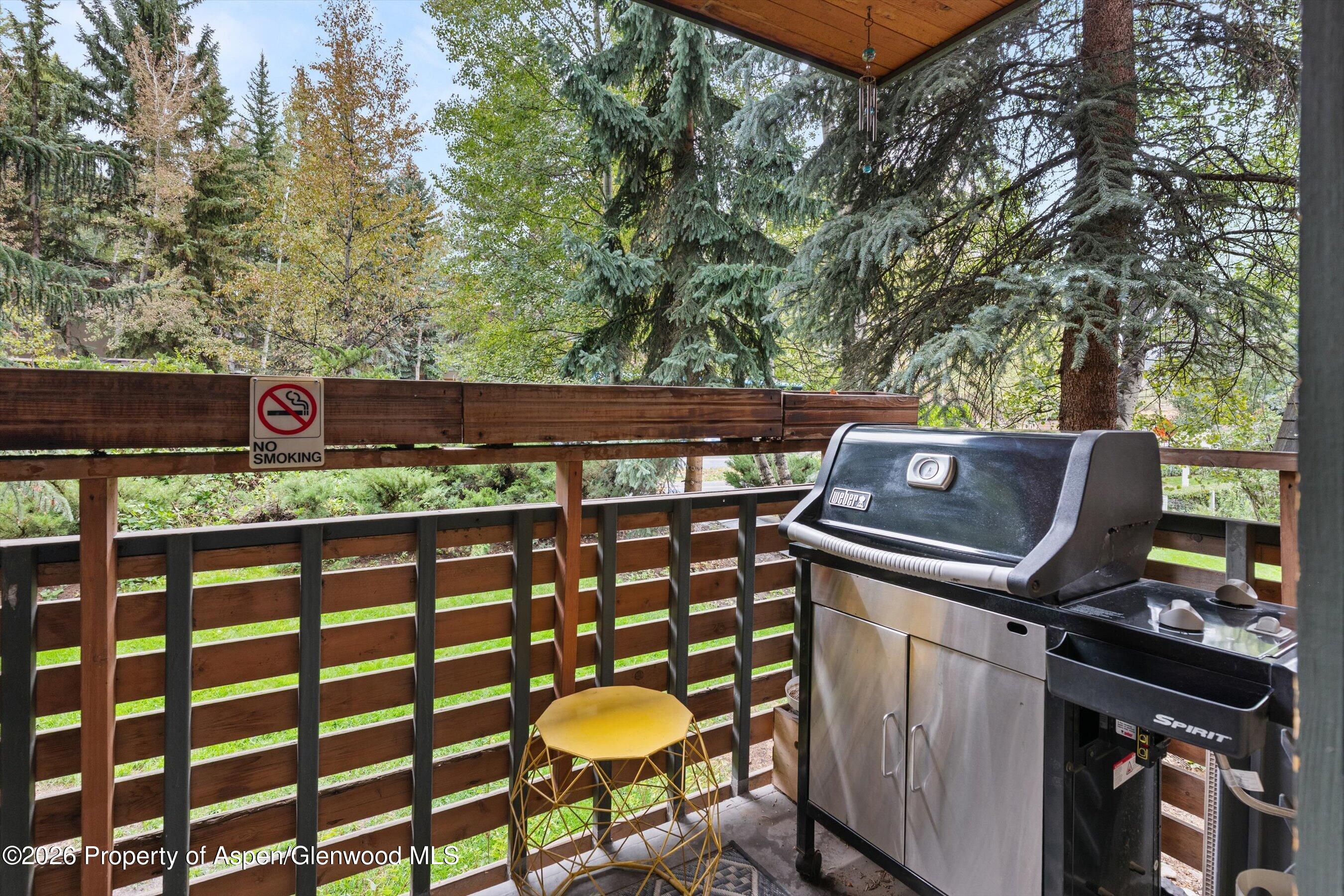 910 W Hallam Street Aspen CO 81611