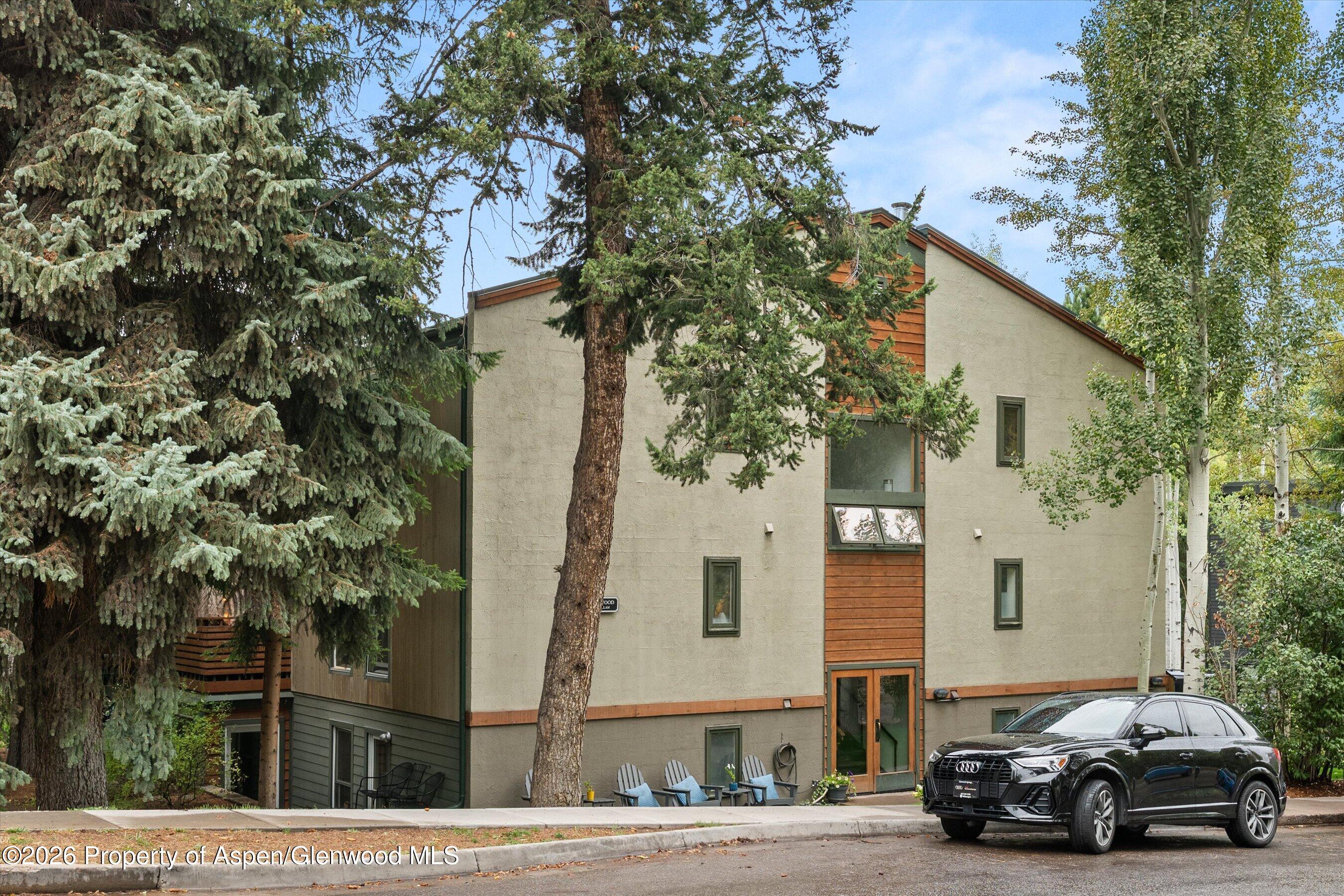 910 W Hallam Street Aspen CO 81611