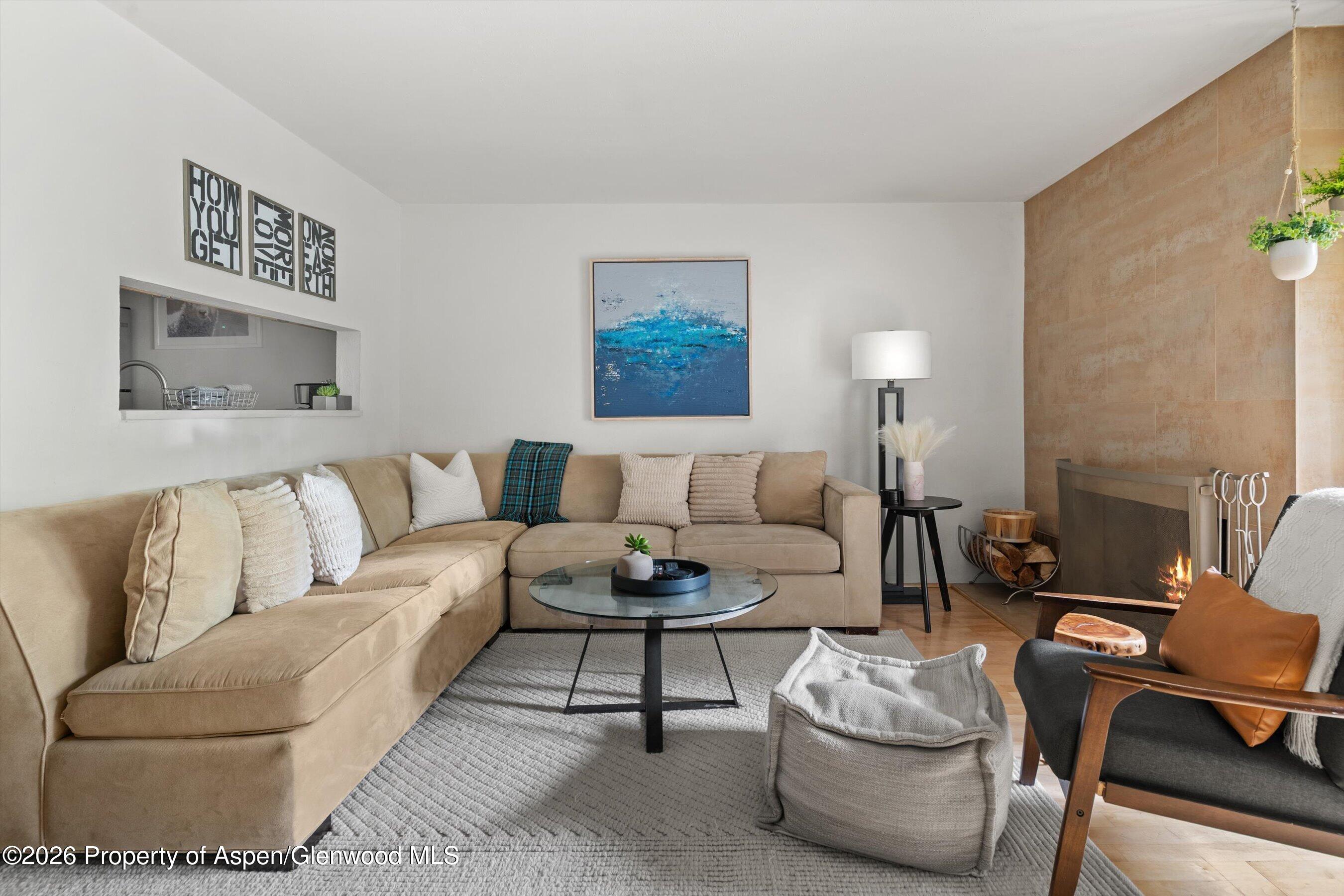 910 W Hallam Street Aspen CO 81611