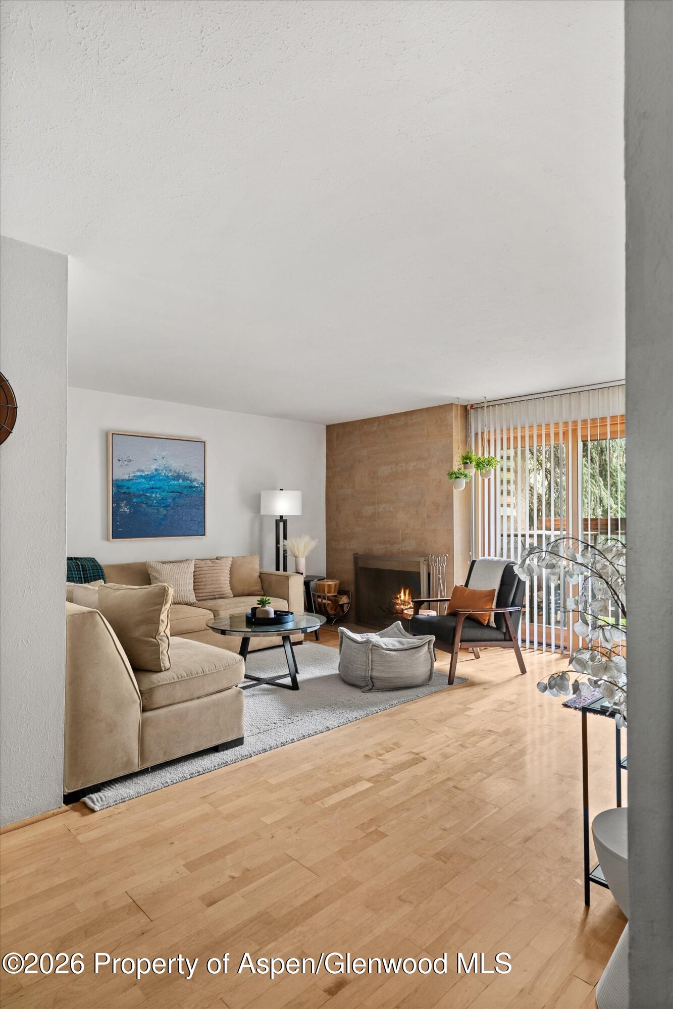 910 W Hallam Street Aspen CO 81611