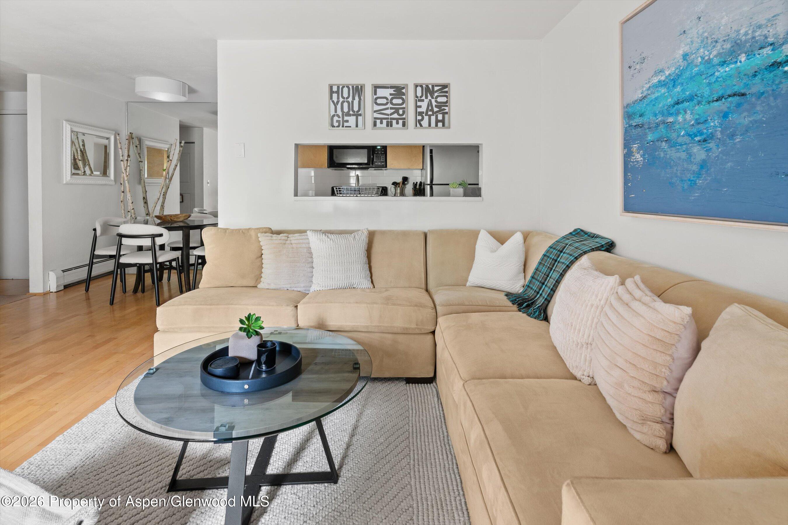 910 W Hallam Street Aspen CO 81611